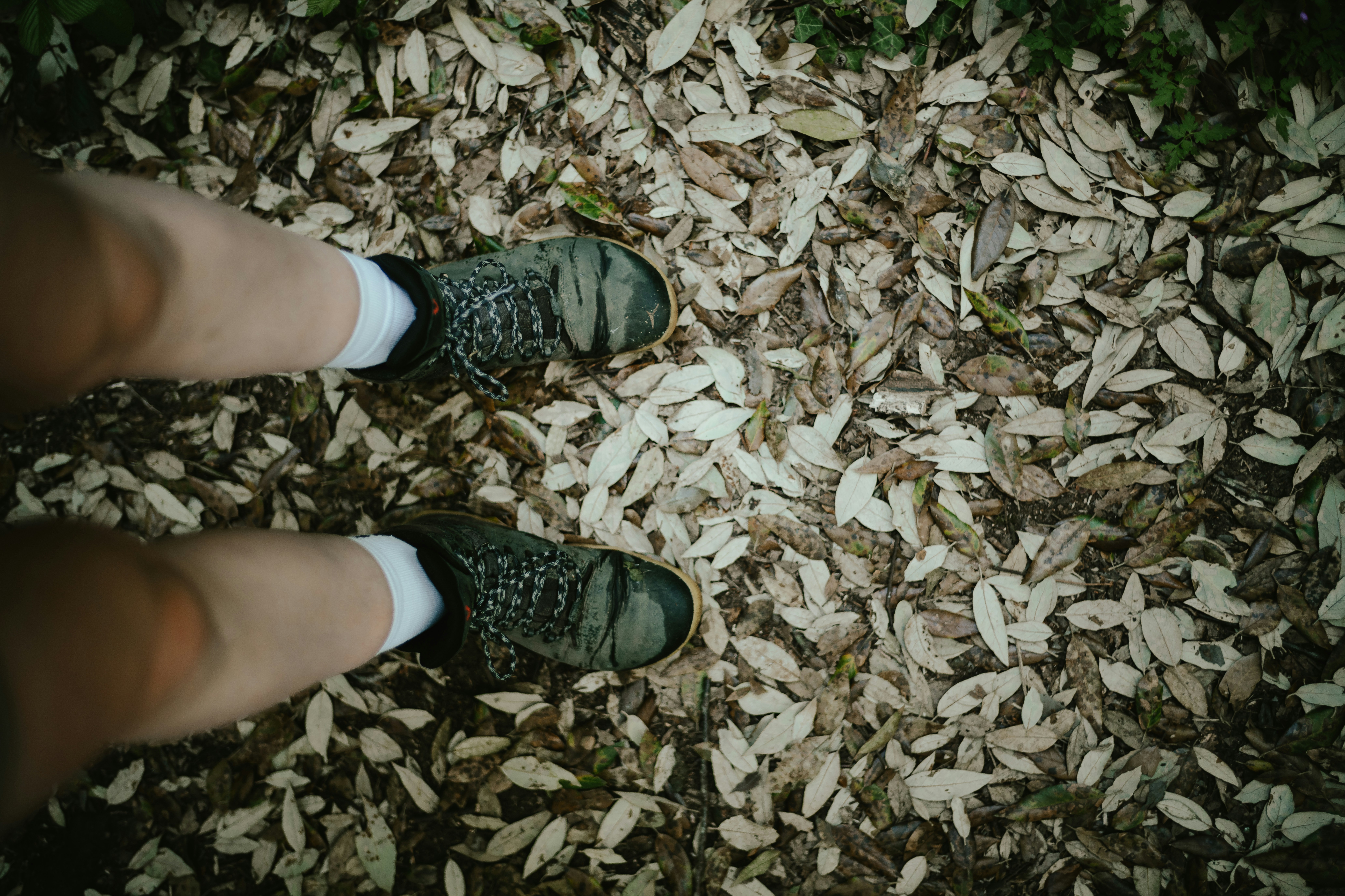 die Hand einer Person, die eine Flasche Wasser hält