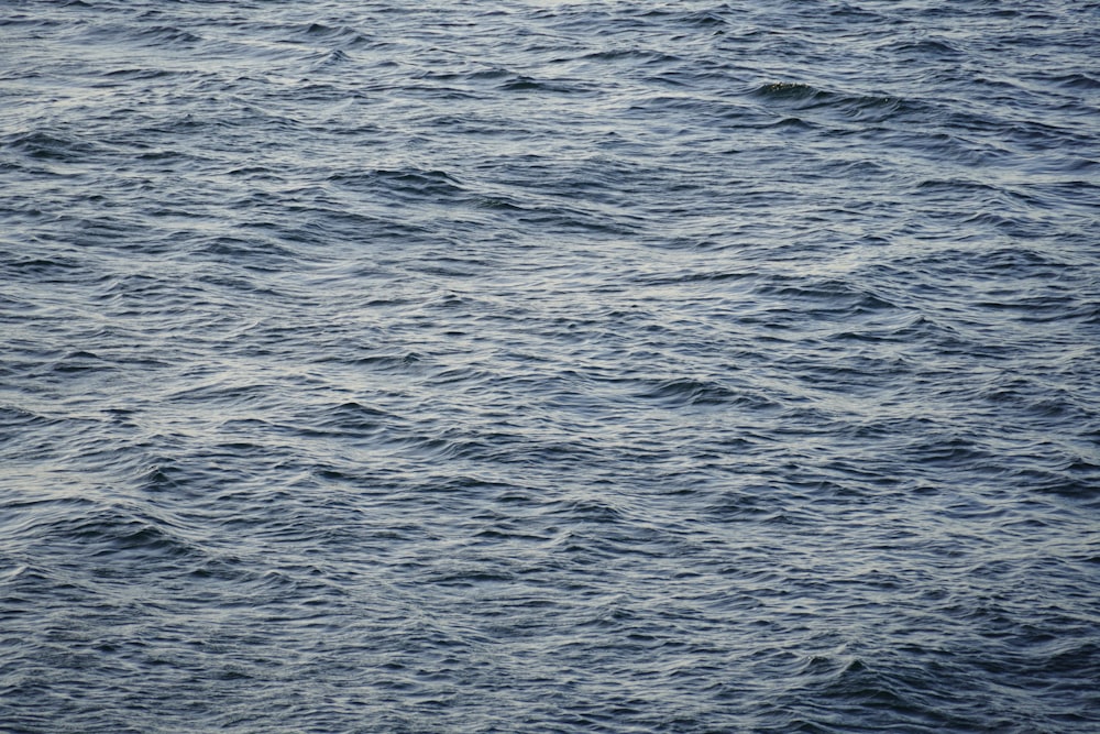 a body of water with waves