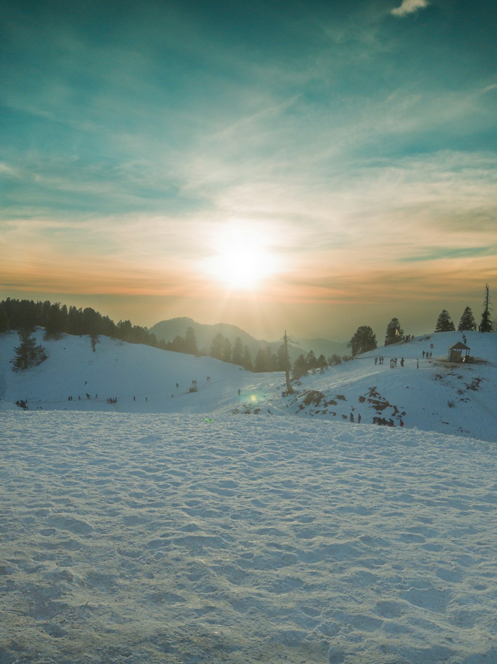 a snowy landscape with trees and a sunset