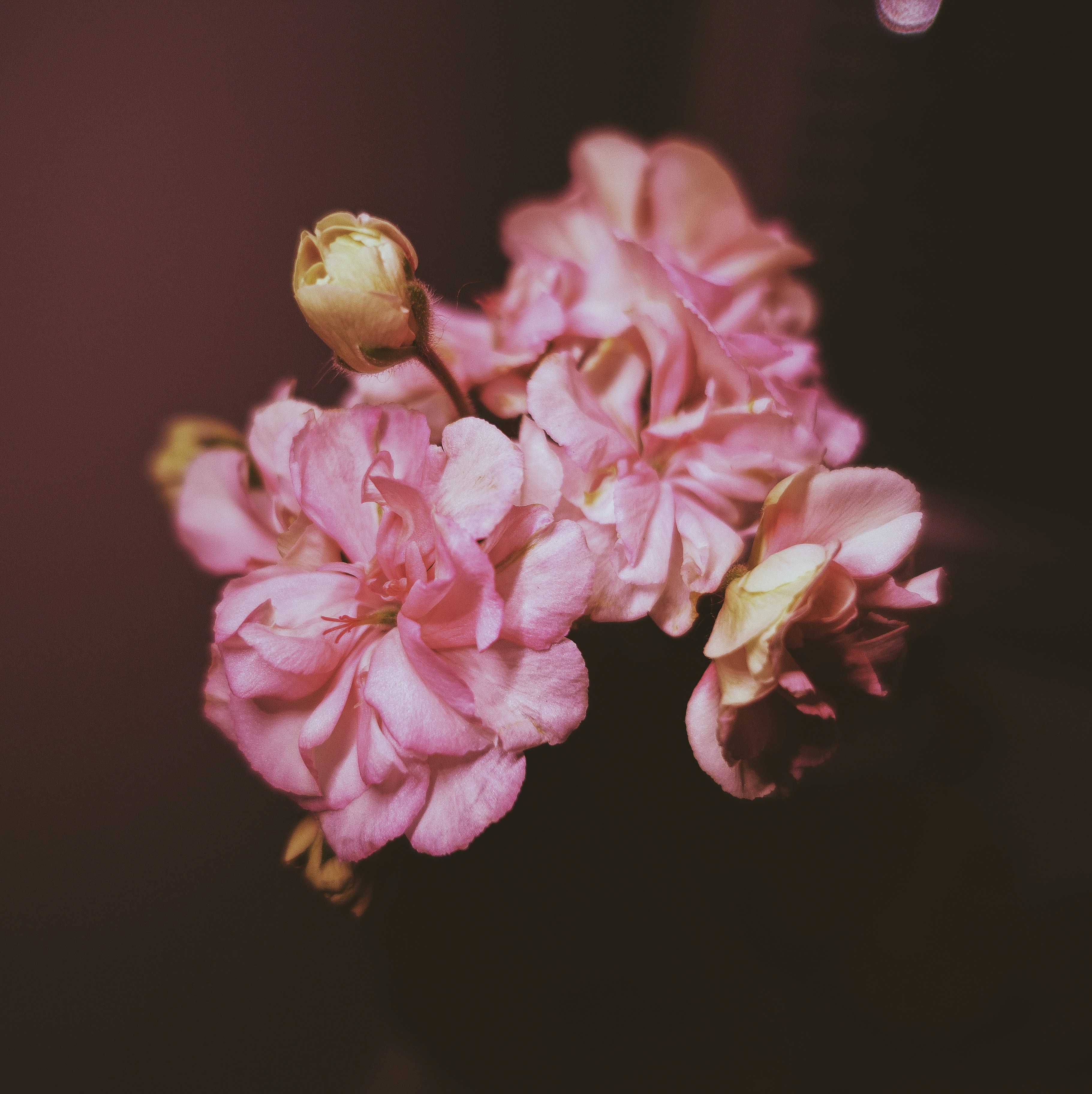 Photo by leitar