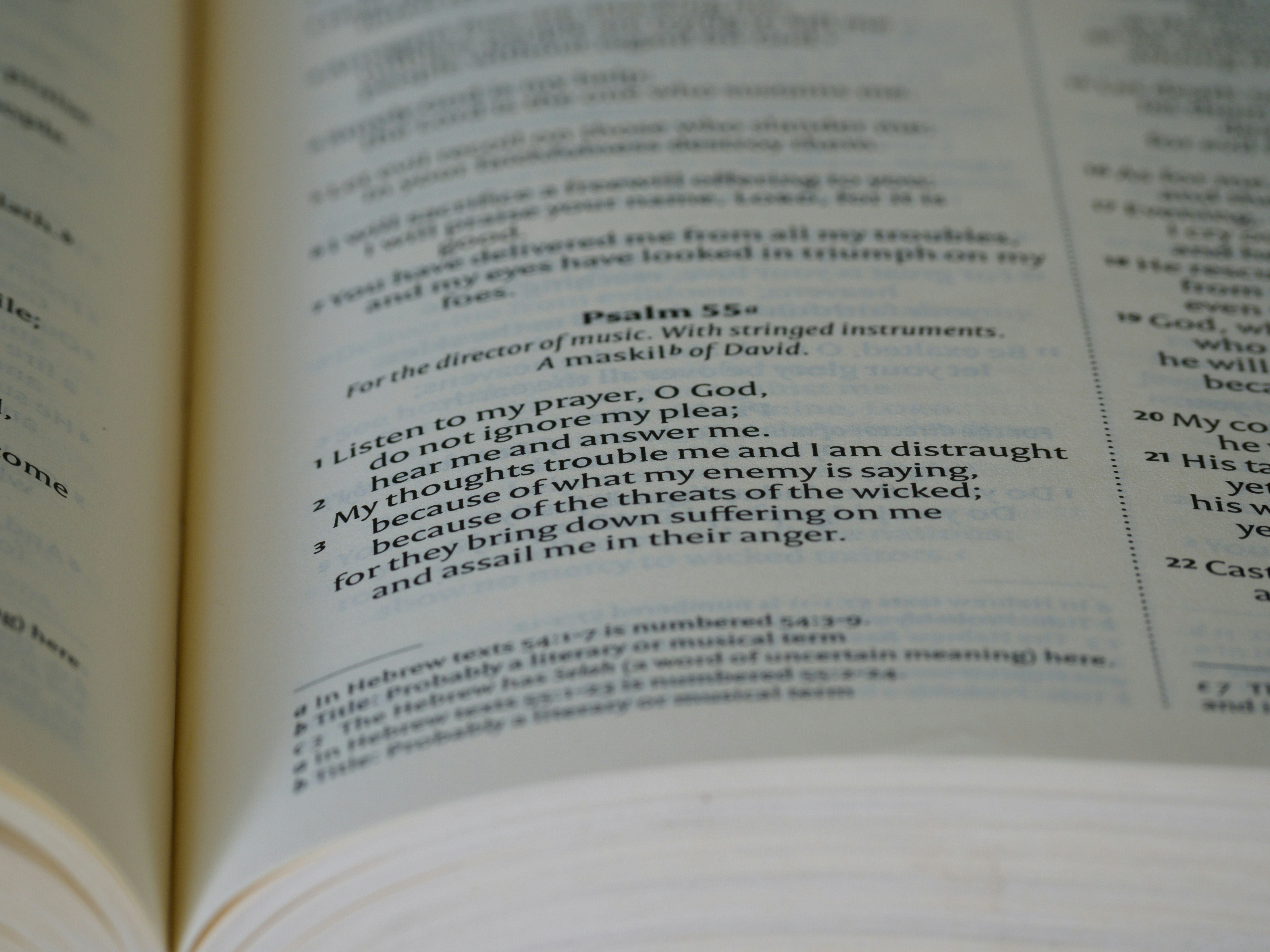 Photo by brett_jordan