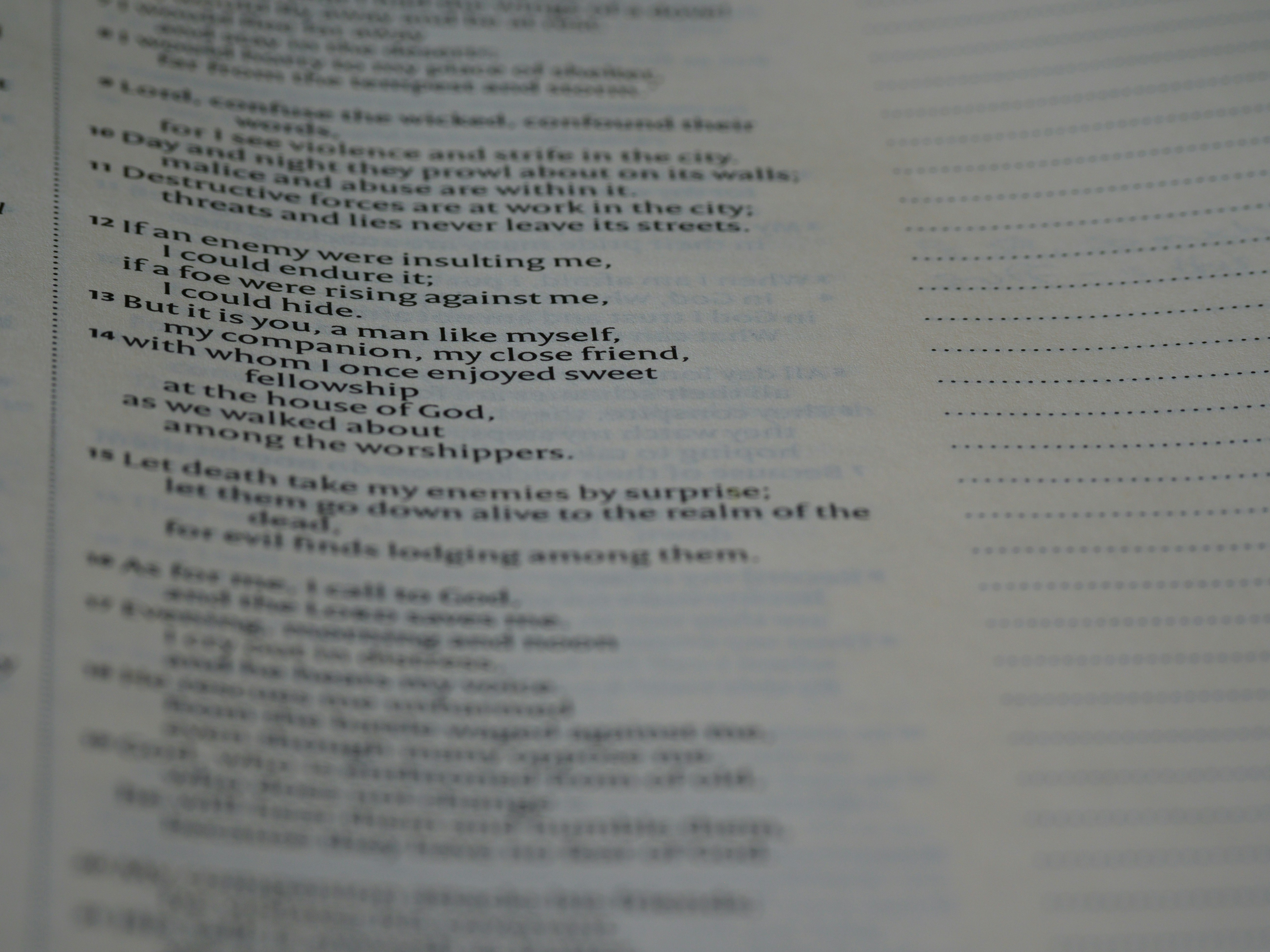 Photo by brett_jordan