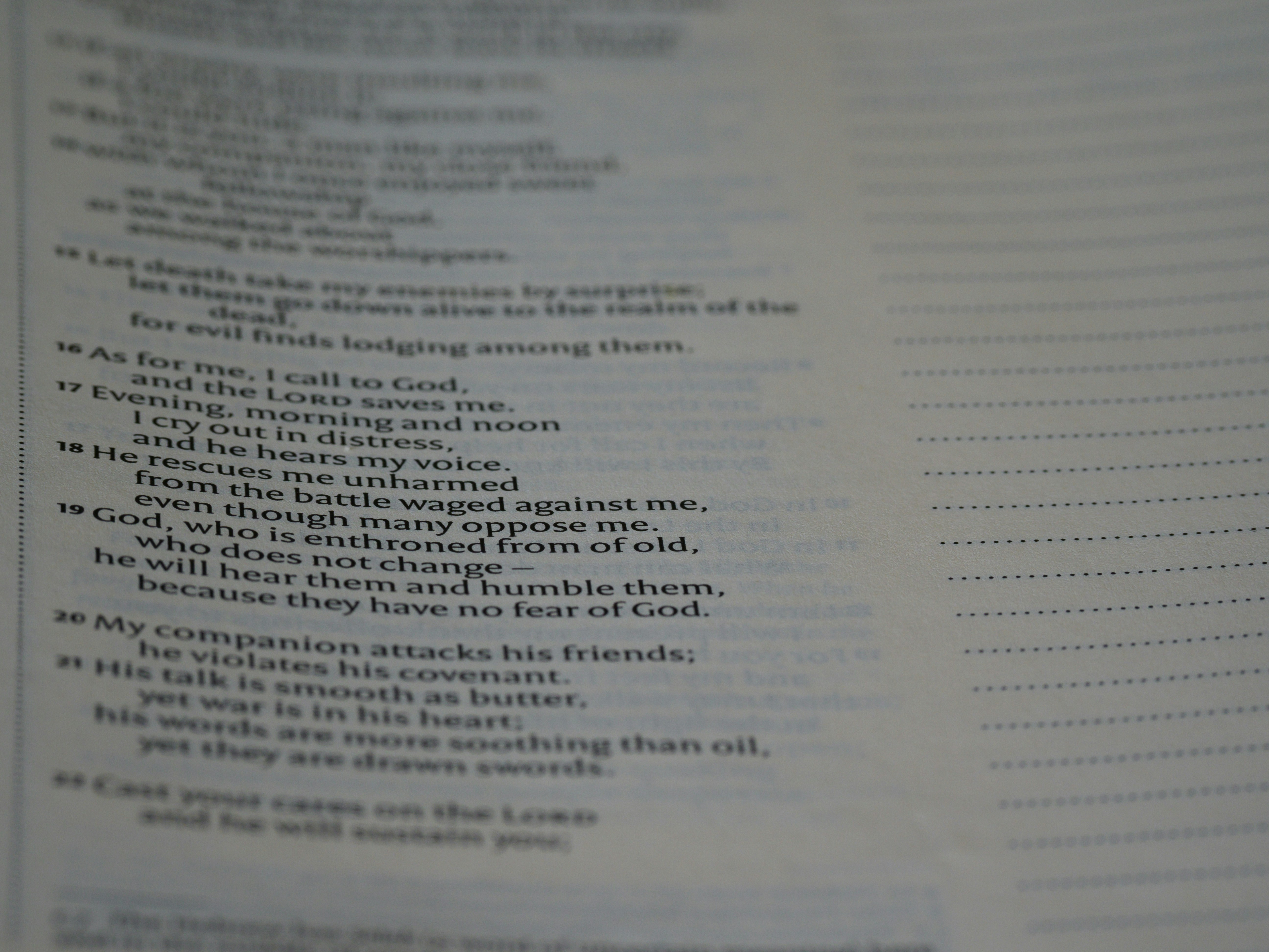 Photo by brett_jordan