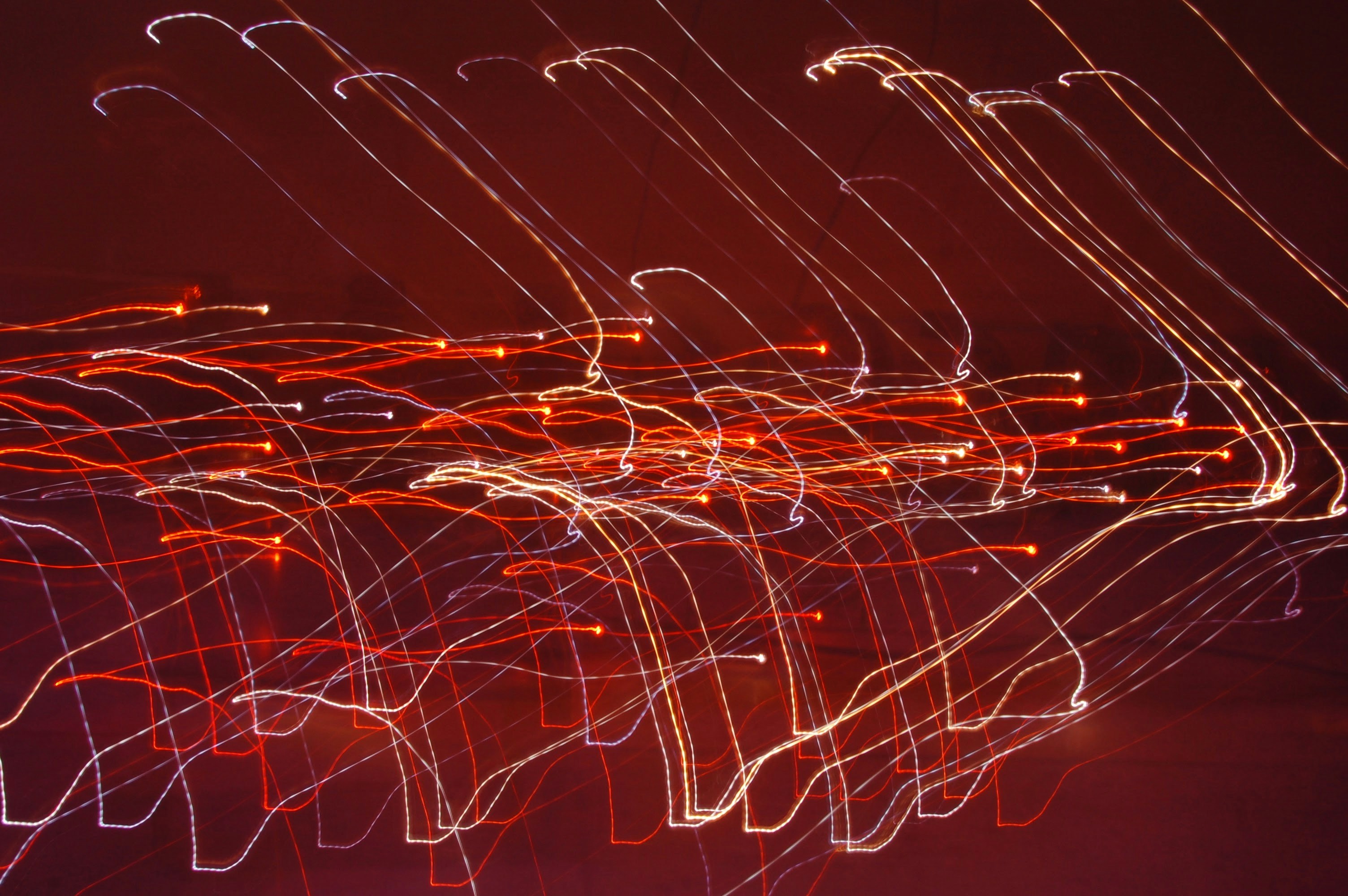 Photo by chelsealens