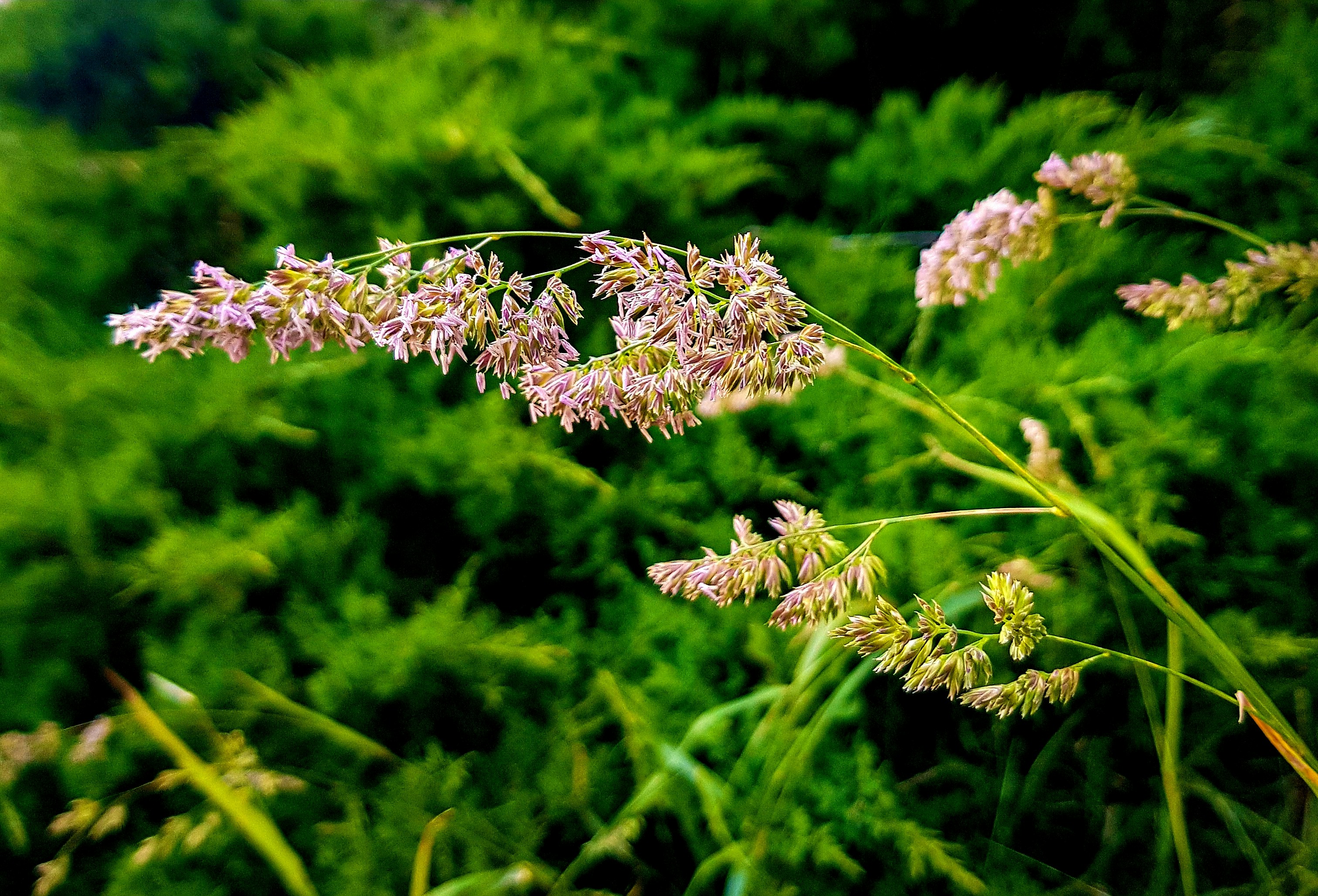 Photo by rehankhan2018