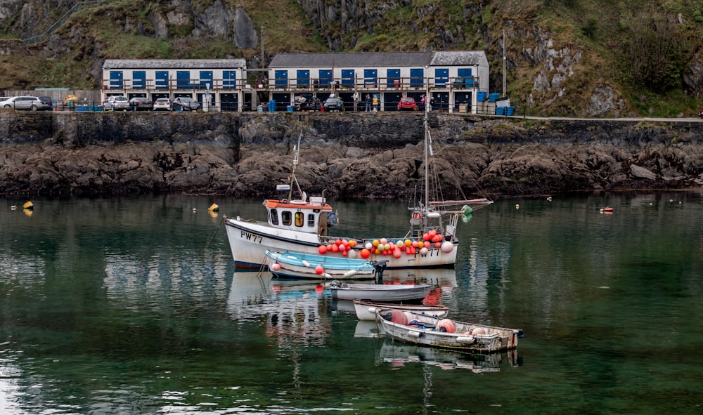 boats in the water