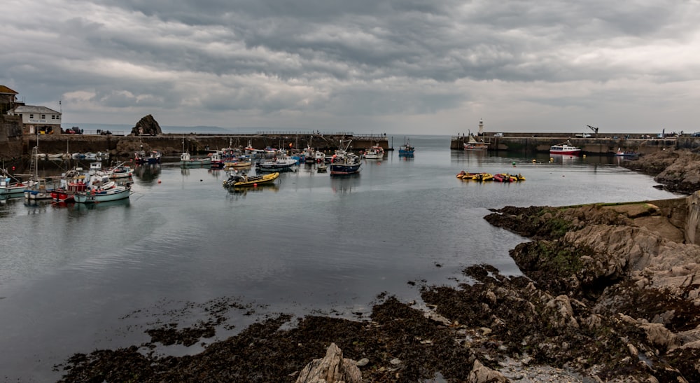 boats in a harbor