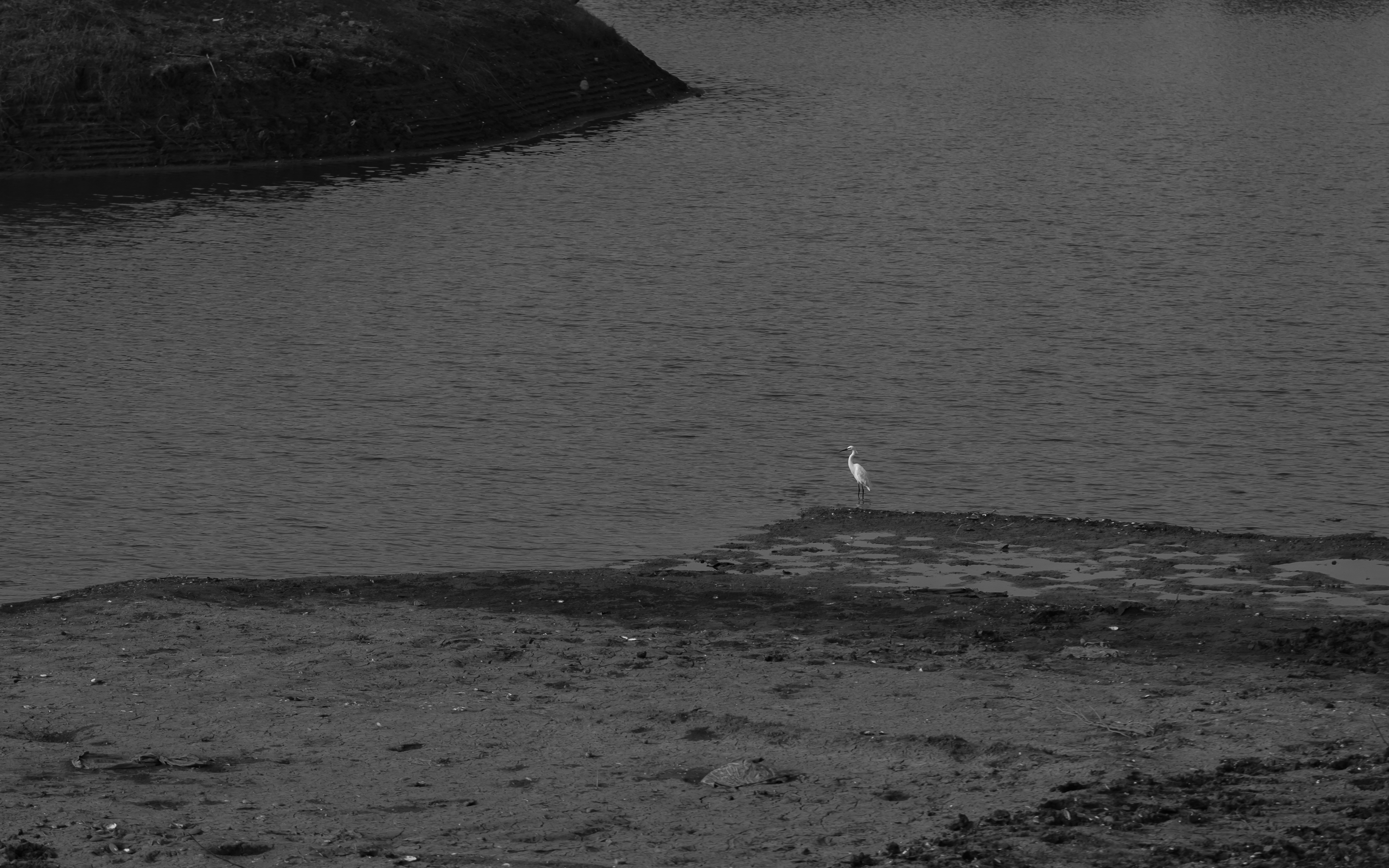 Photo by vdphotography