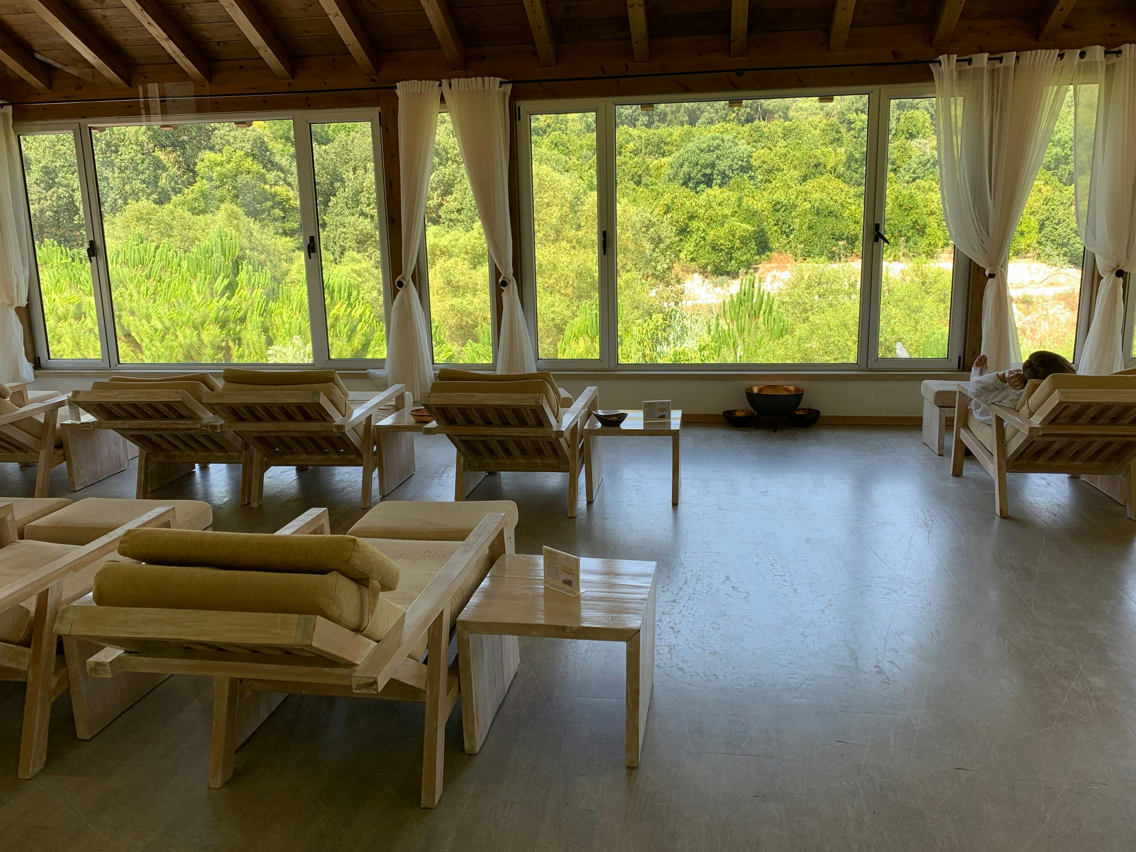 Calming nature room view representing wellness and healing