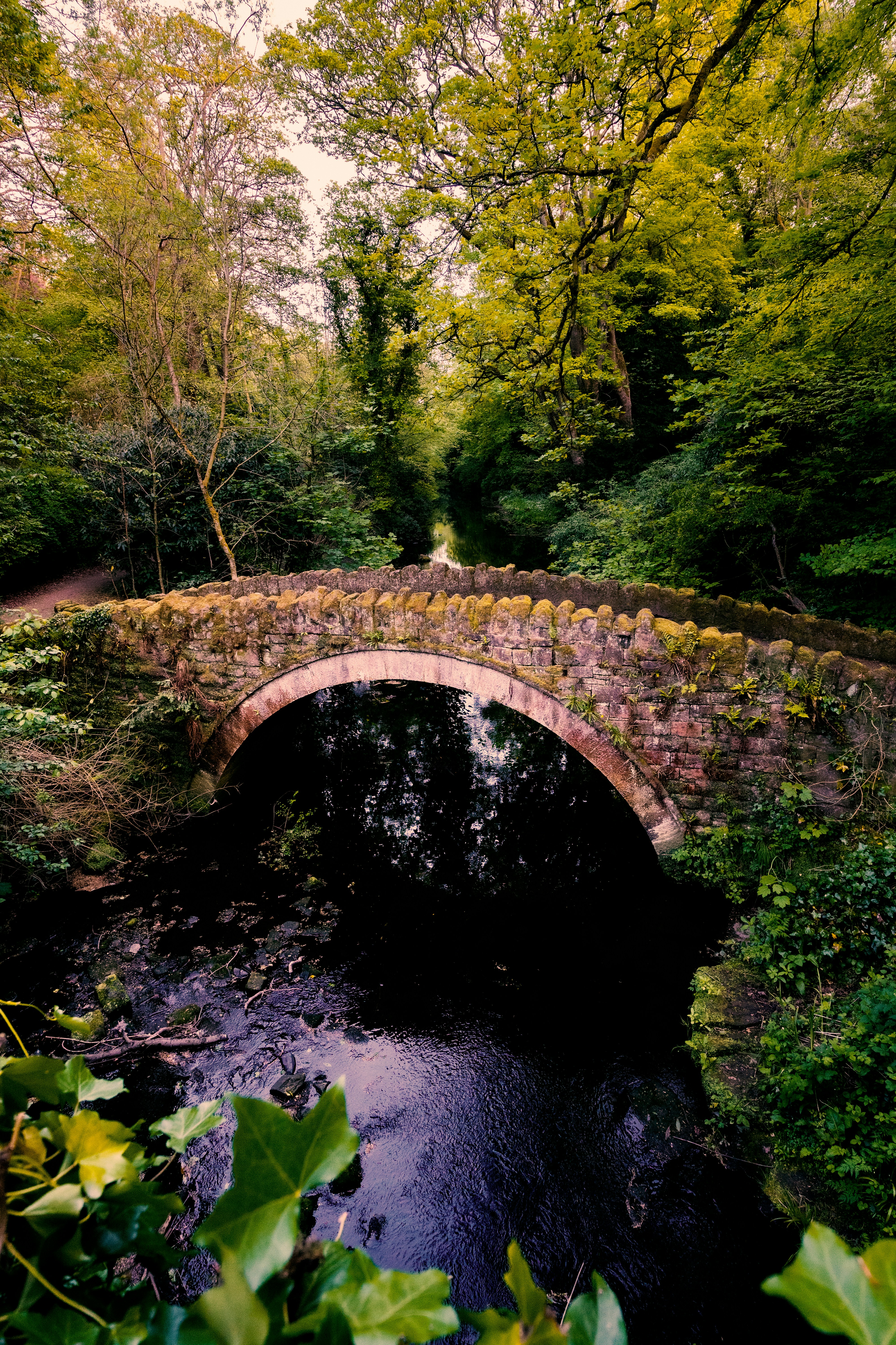 Photo by marcoangelo