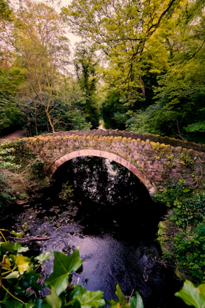a stone bridge over a river in Jesmond