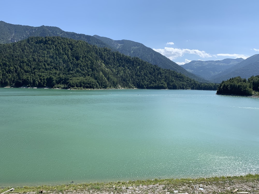 a large body of water with trees and mountains in the background