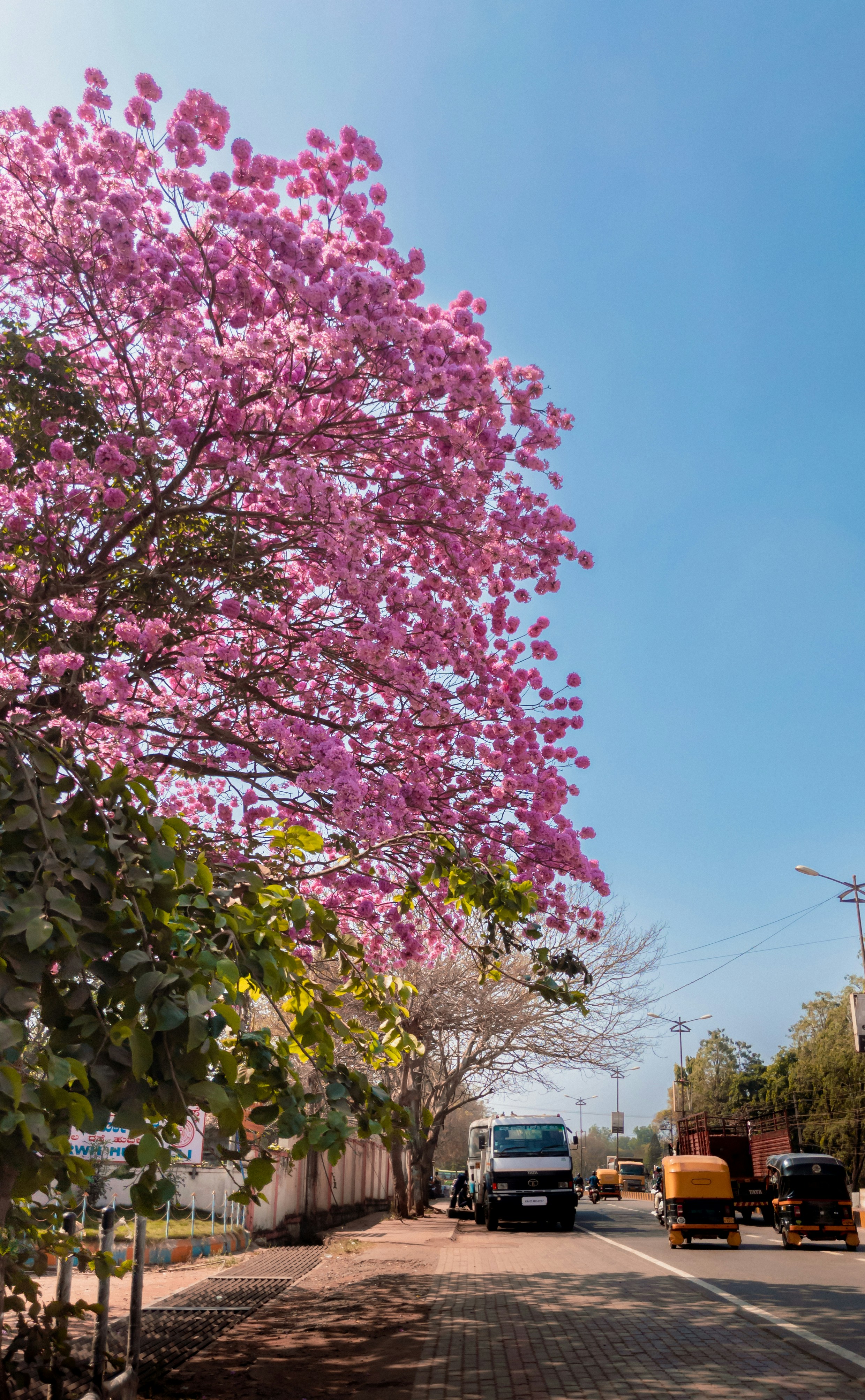 Photo by 24k_trivedi