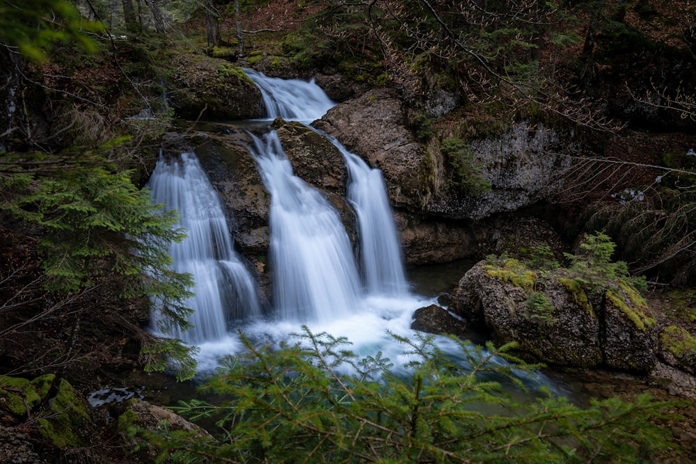 a waterfall in a forest