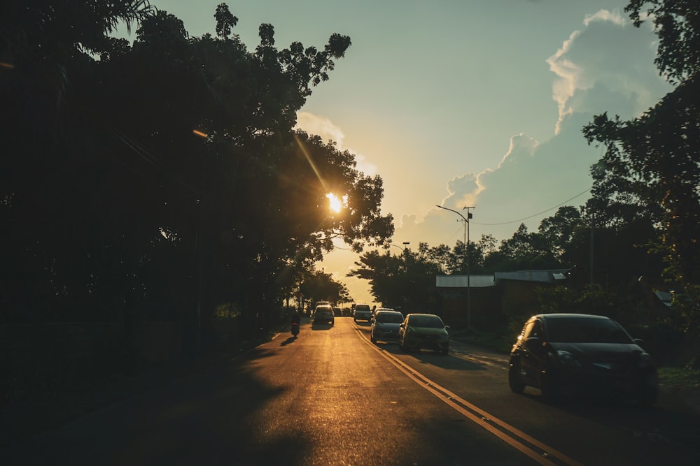 uma rua com carros e árvores ao lado