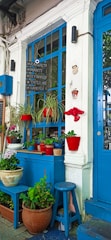 A vibrant outdoor arrangement with various potted plants on a blue bench and wooden stools. The backdrop includes a blue window and door, with hanging red pots and green, thriving plants. There's also a menu board and some decorative items hanging on the walls, contributing to a lively and welcoming ambiance.