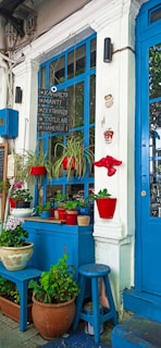 A vibrant outdoor space decorated with colorful plants and furniture.