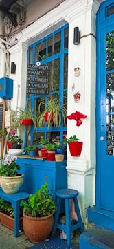 A vibrant outdoor arrangement with various potted plants on a blue bench and wooden stools. The backdrop includes a blue window and door, with hanging red pots and green, thriving plants. There's also a menu board and some decorative items hanging on the walls, contributing to a lively and welcoming ambiance.