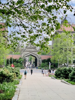 a group of people walking on a path in a park