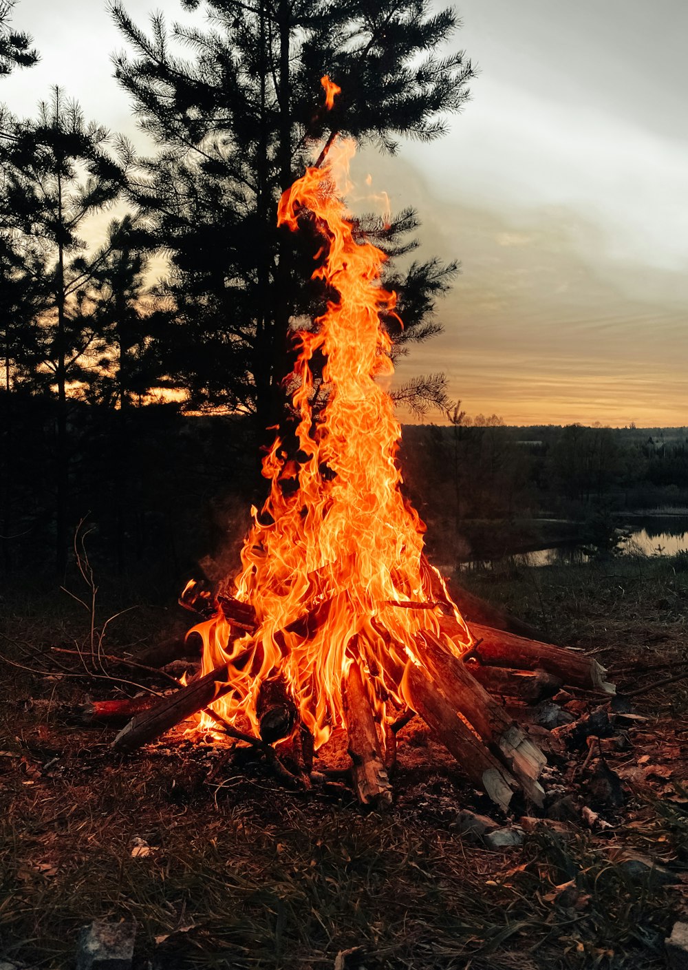 a bonfire in the woods