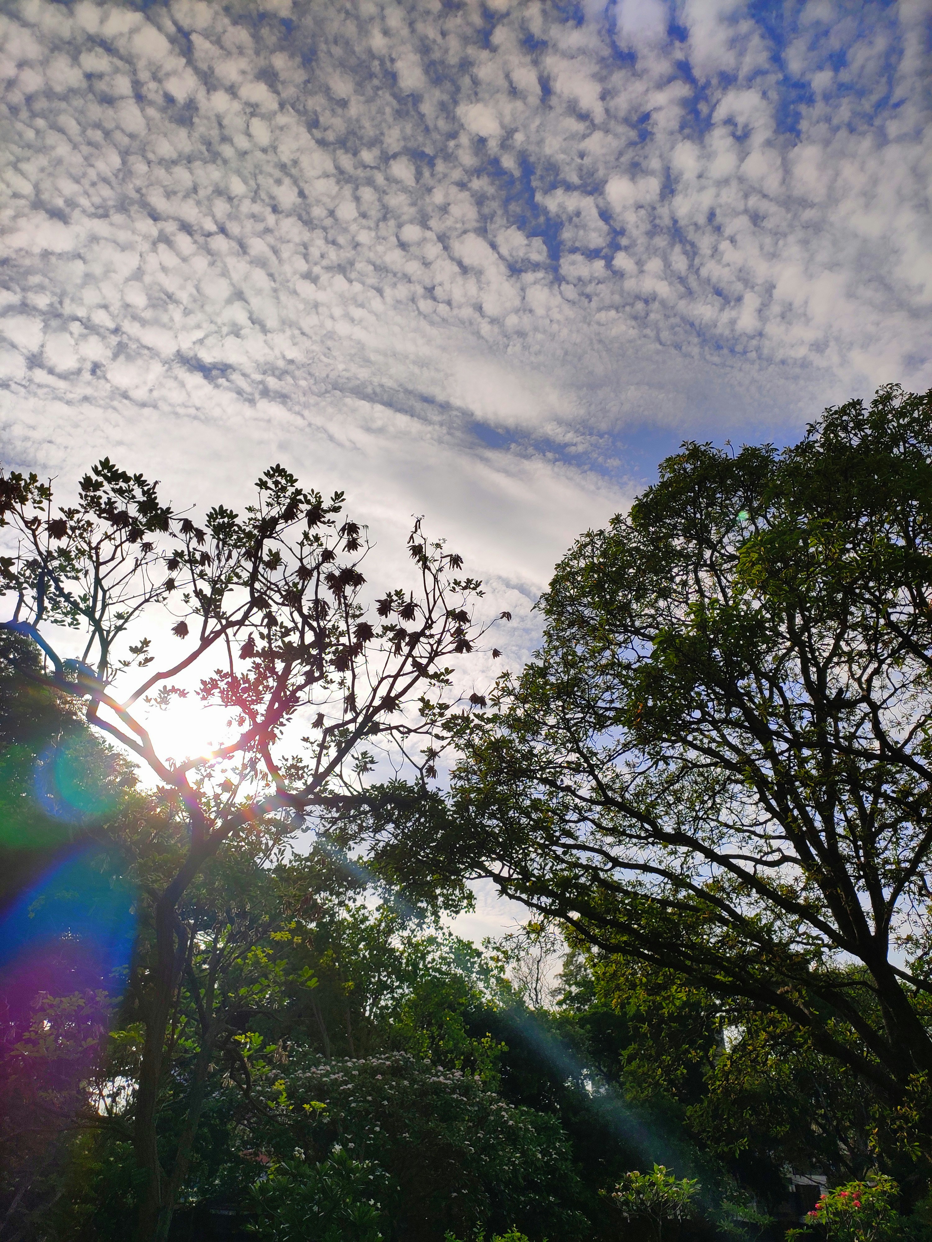 a rainbow in the sky