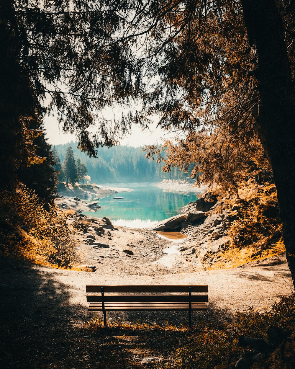 a bench sits unoccupied