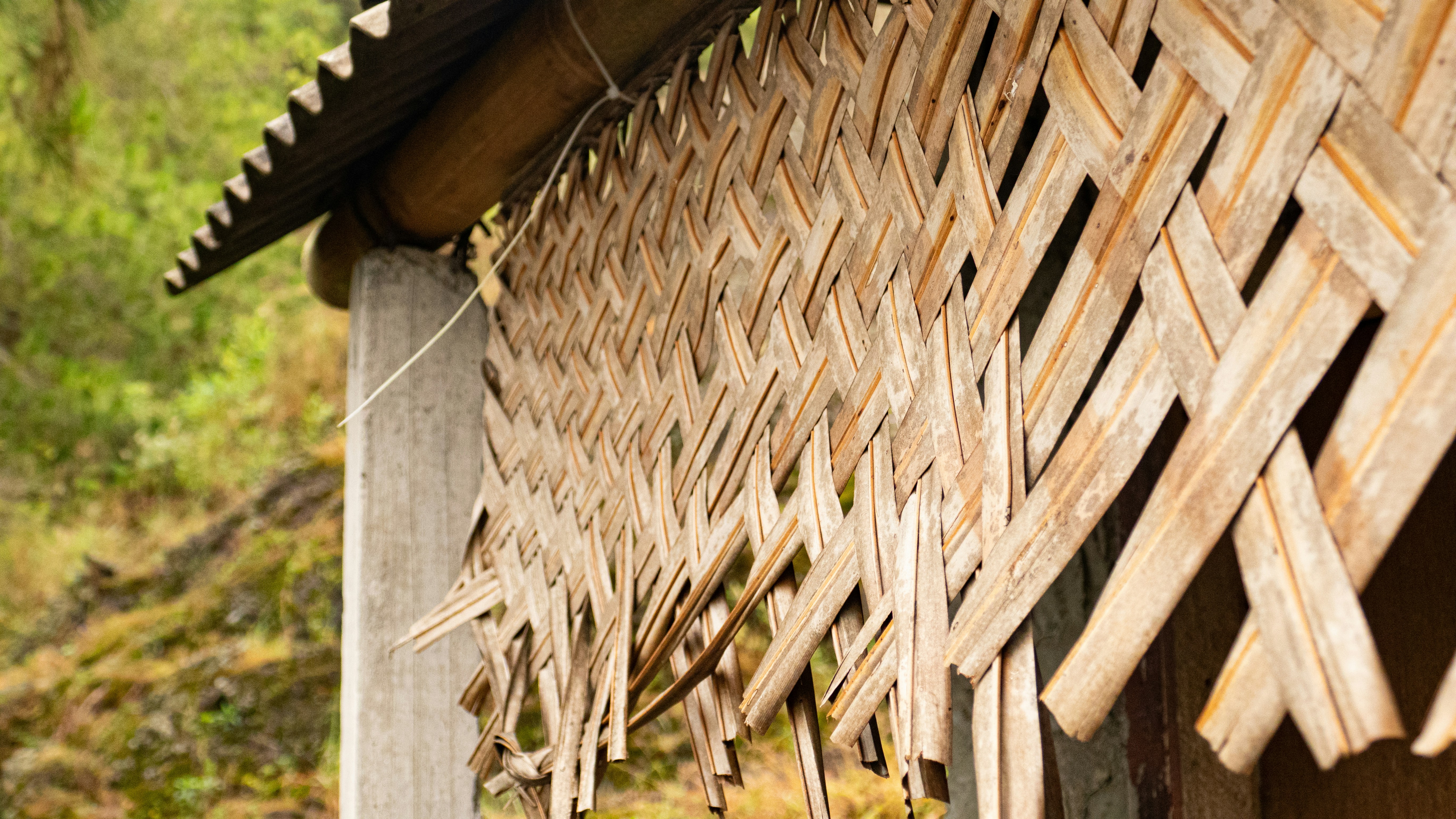 Photo by thesecondaryeye