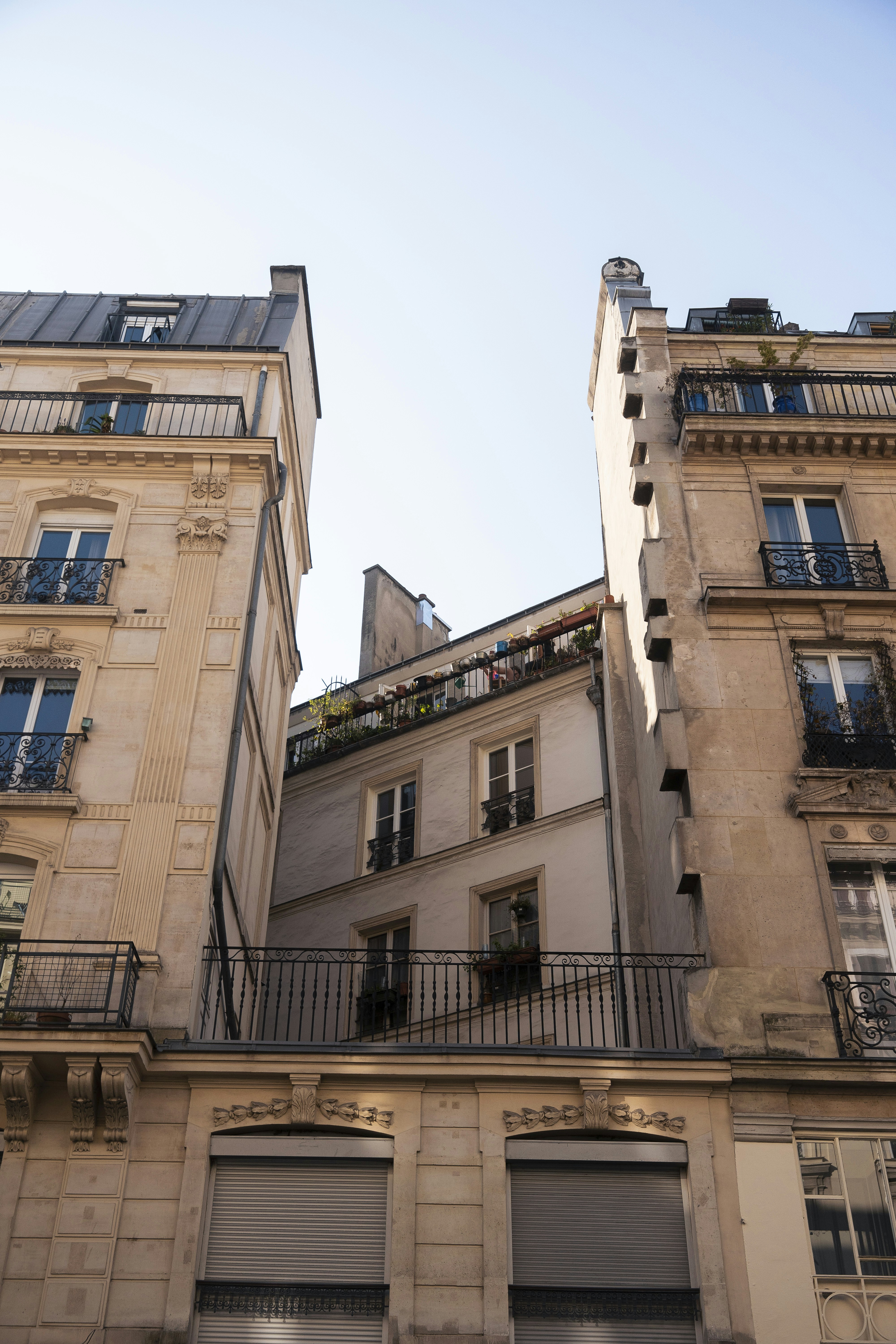 Photo by sirisvisual