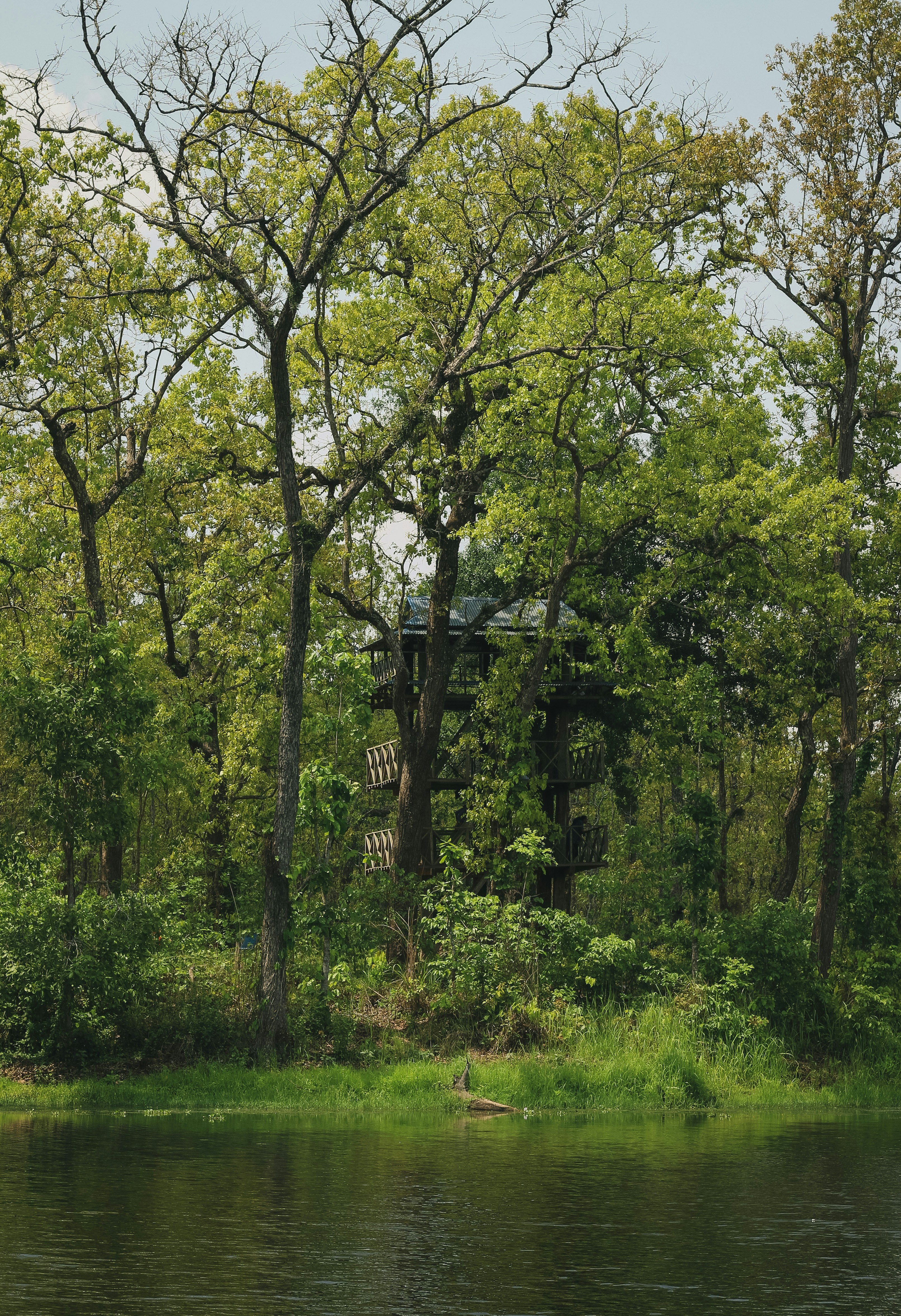 Photo by basnetprabin66