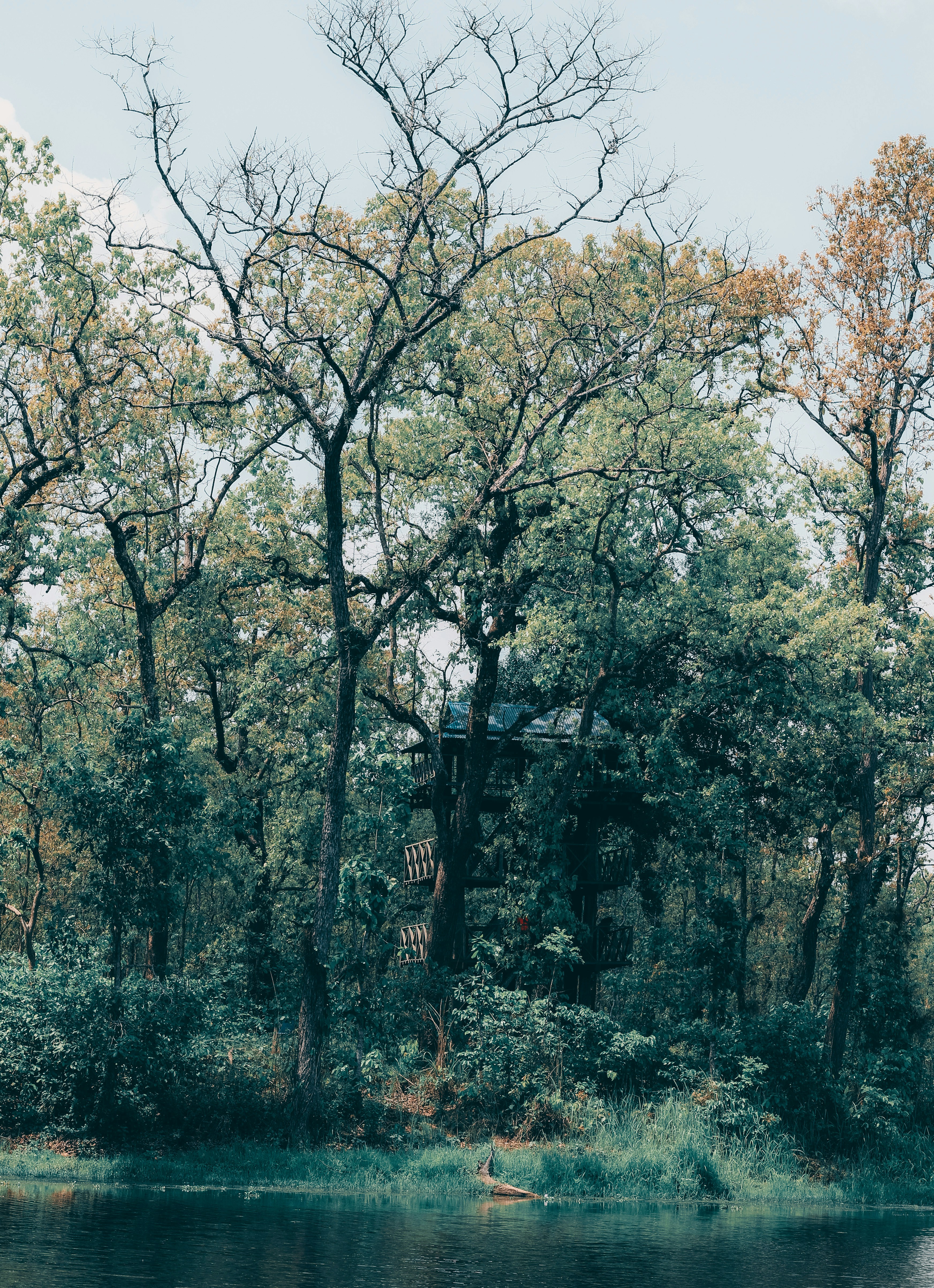 Photo by basnetprabin66