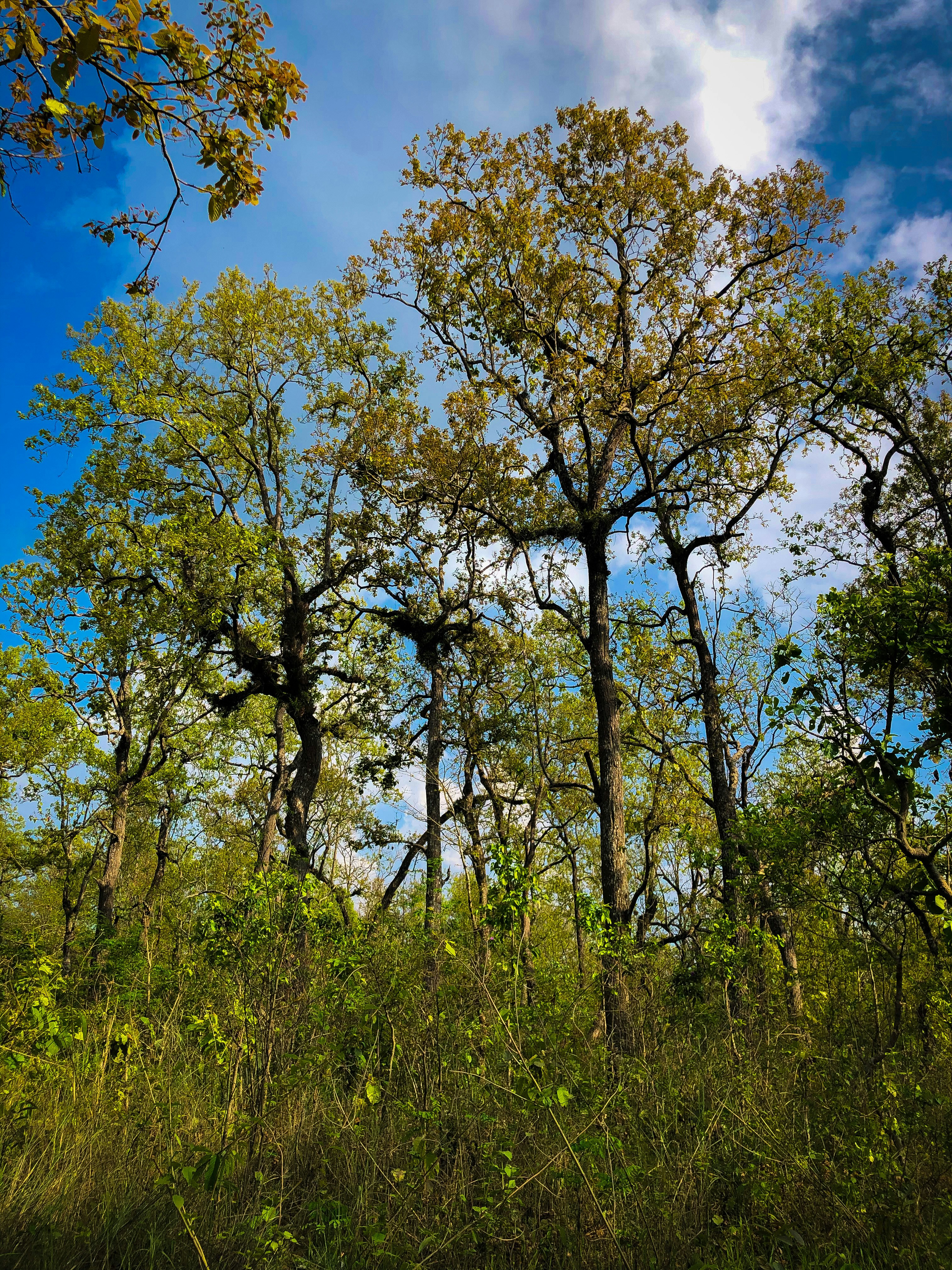 Photo by basnetprabin66