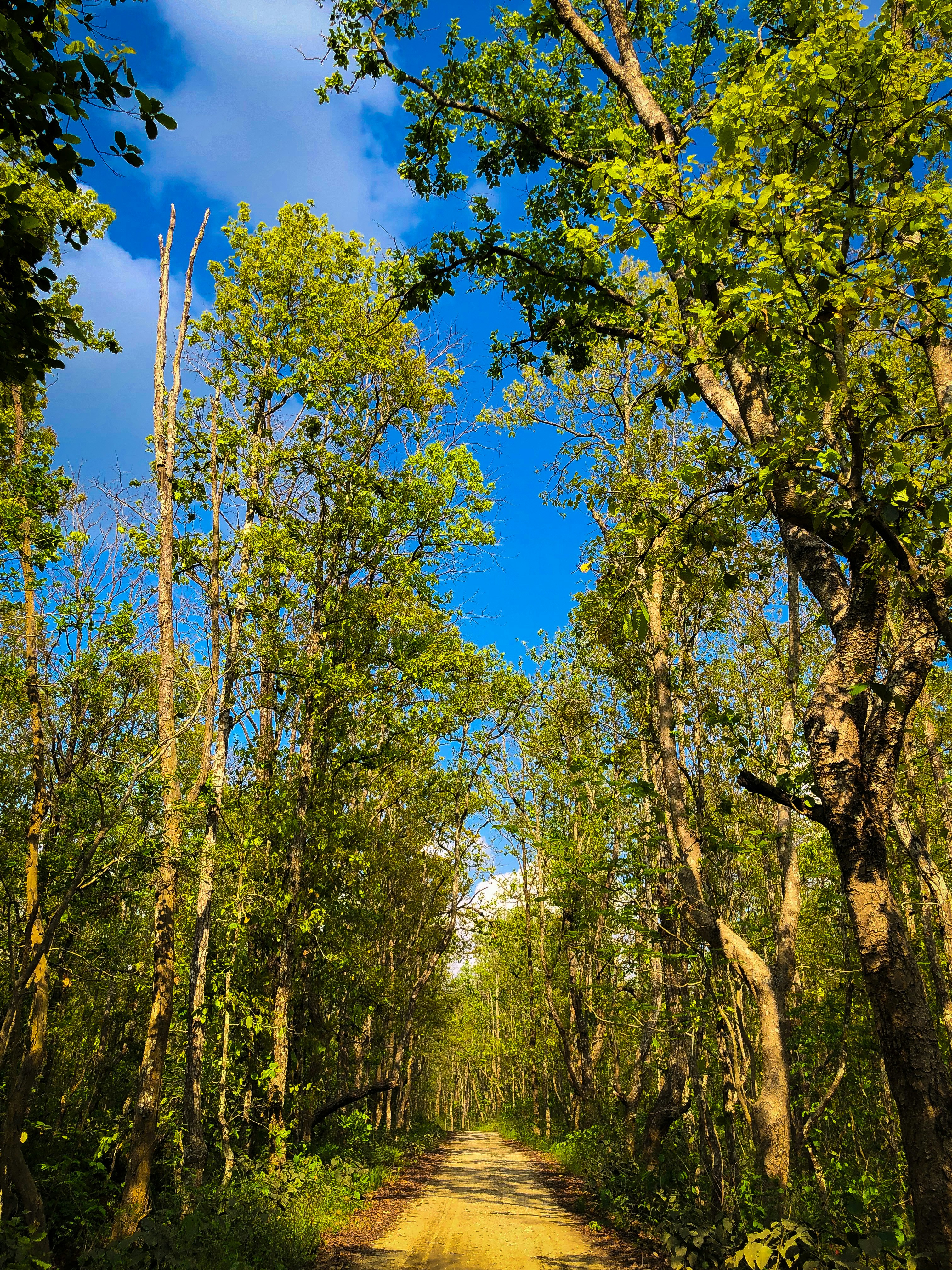 Photo by basnetprabin66