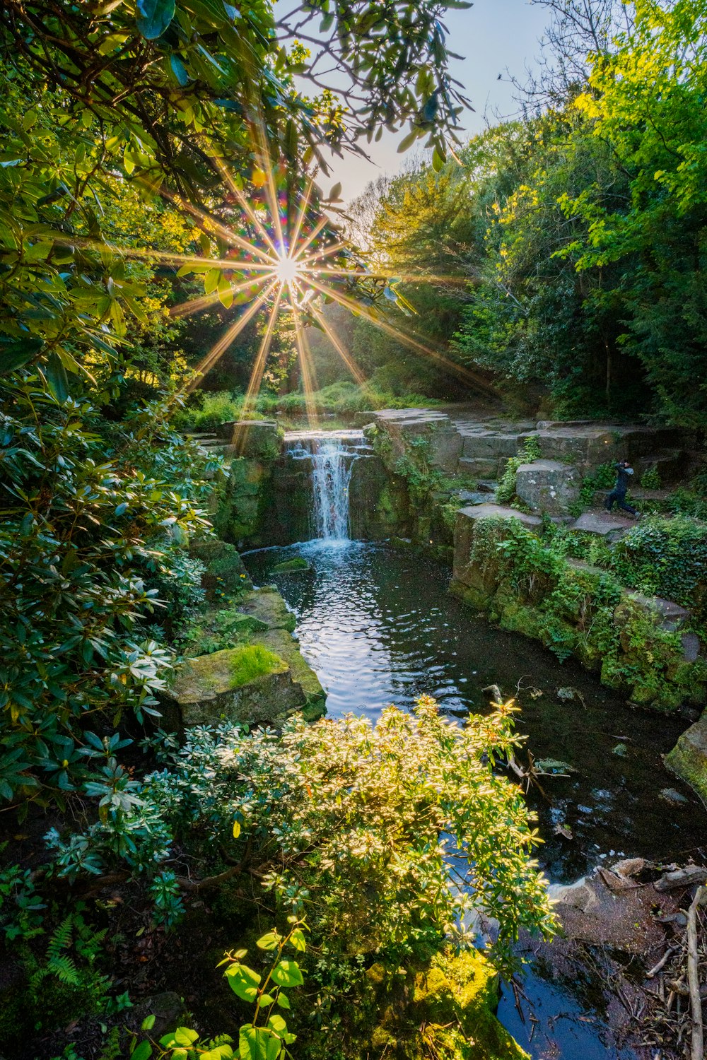 a small waterfall in a garden