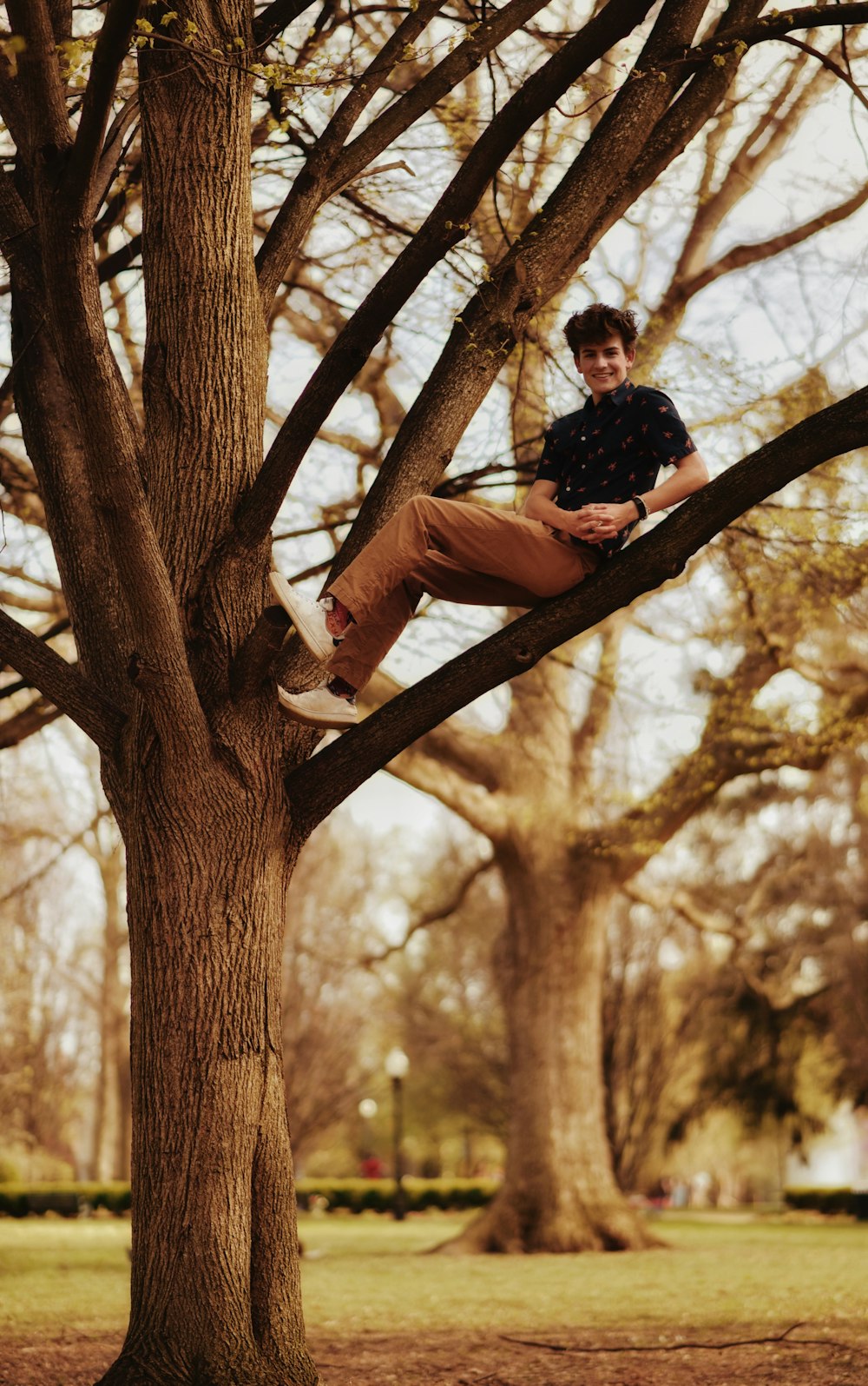 Una persona sentada en un árbol