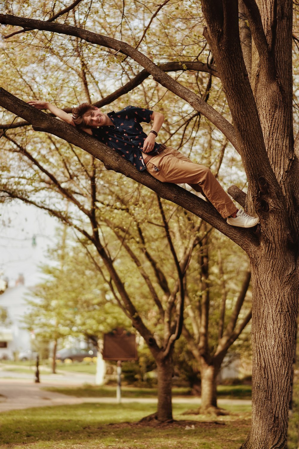 a person in a tree