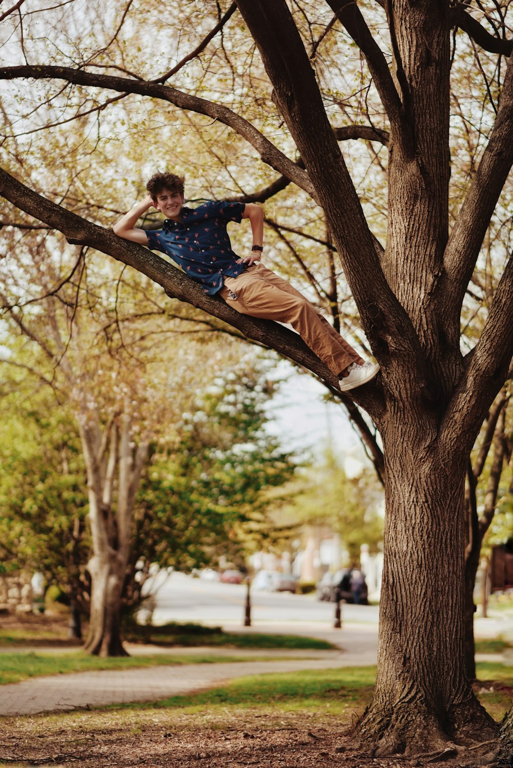 Un niño en un árbol