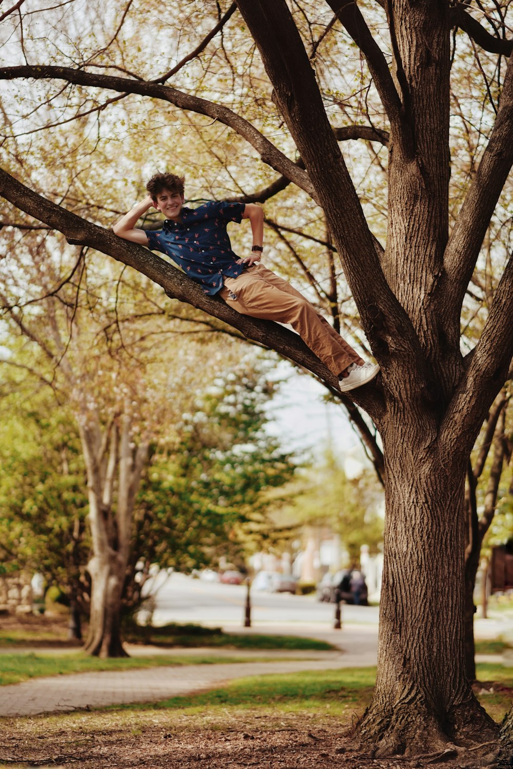 a boy in a tree