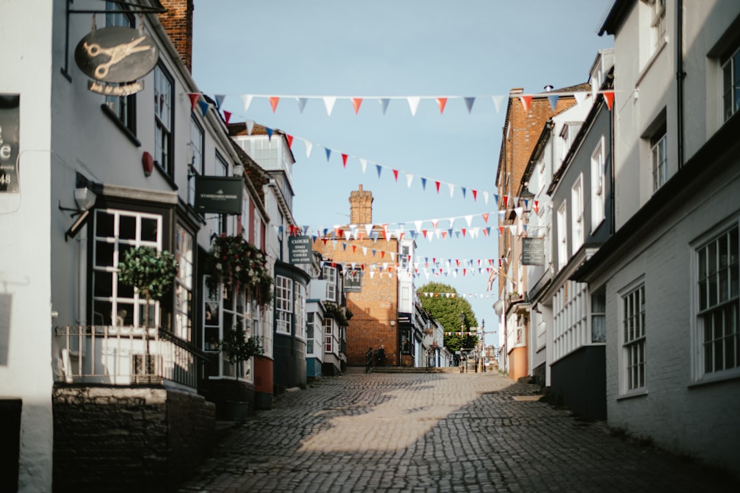 a cobblestone street lined with buildings with flags,
