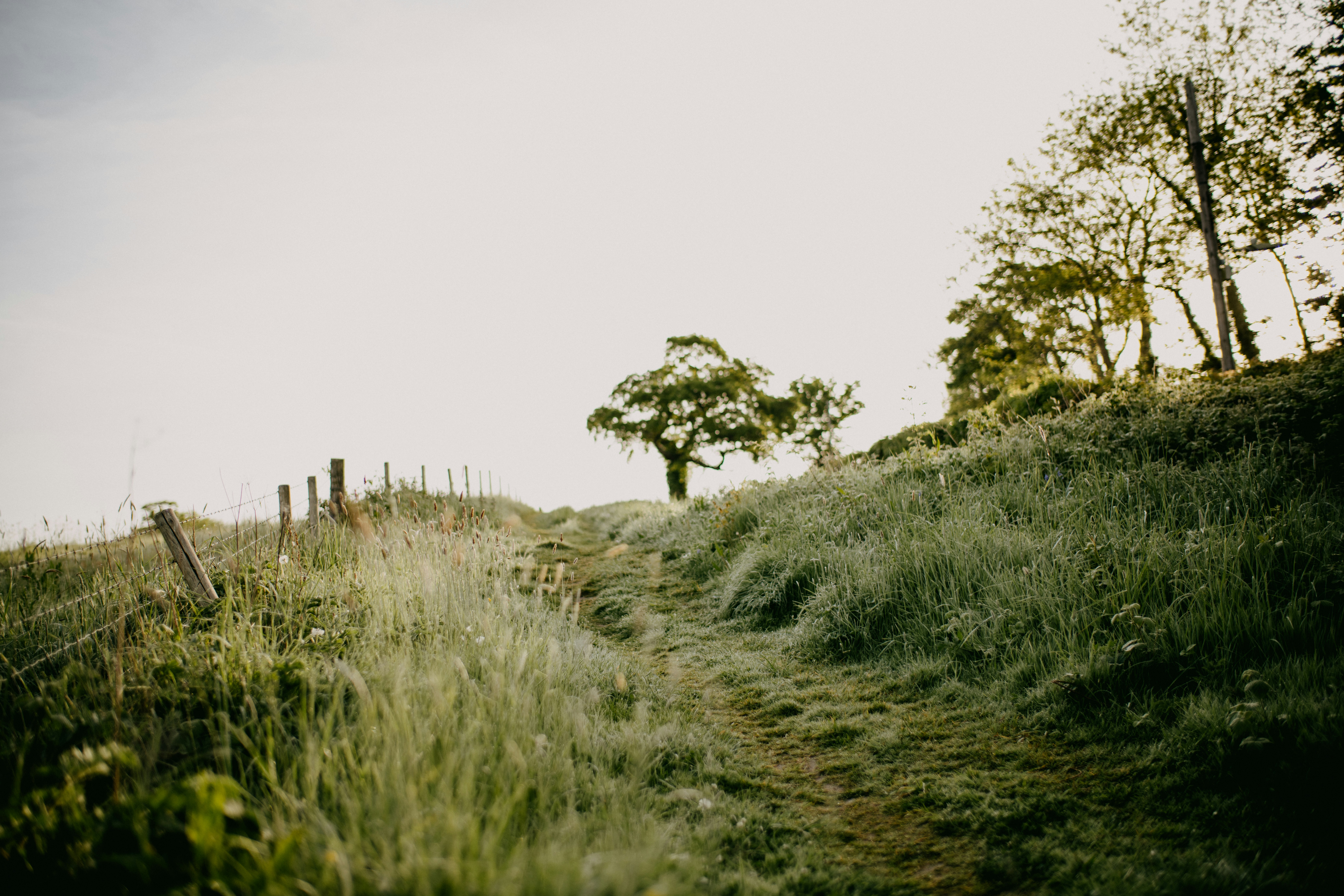 Photo by anniespratt