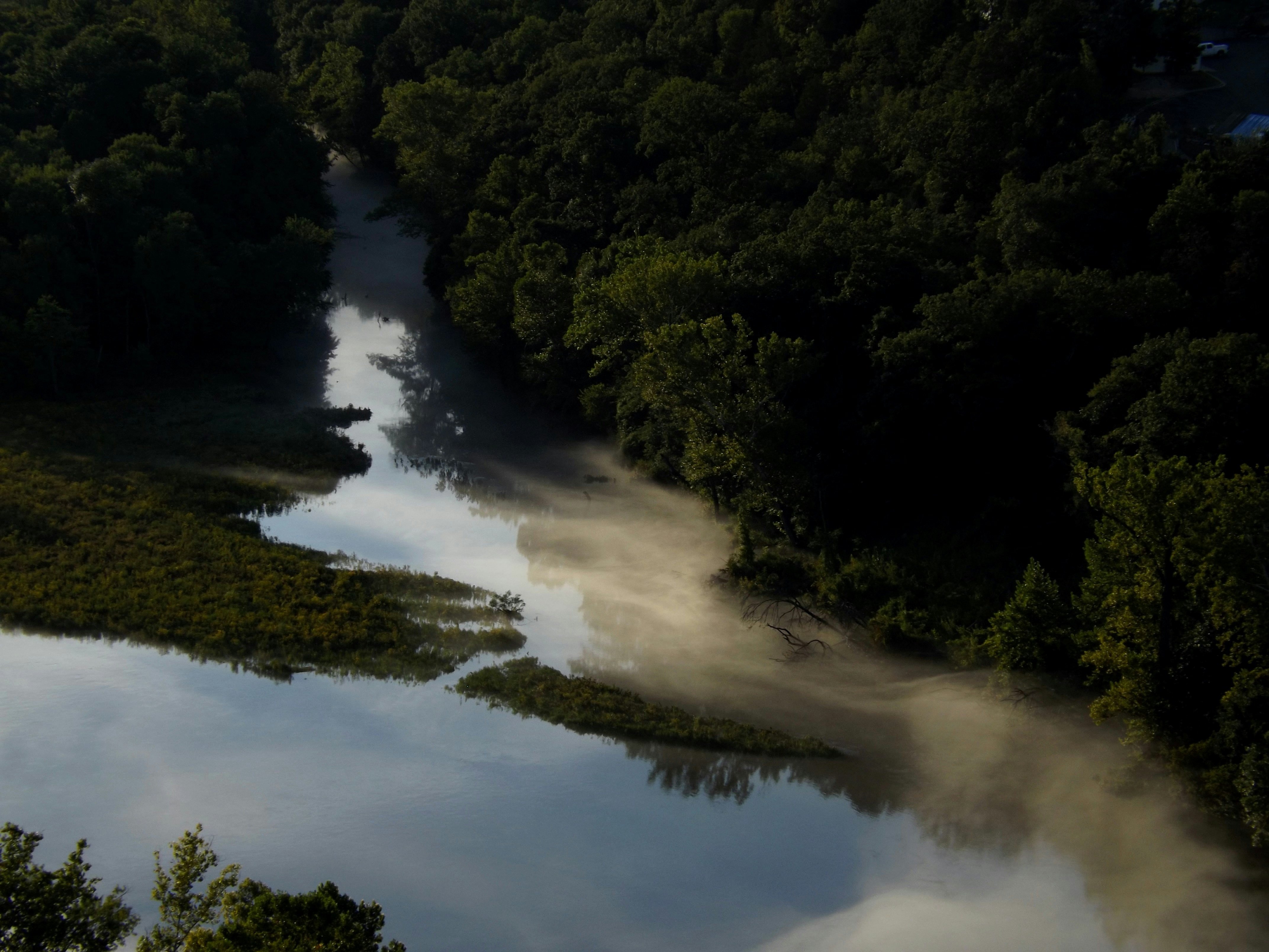 a river with trees around it