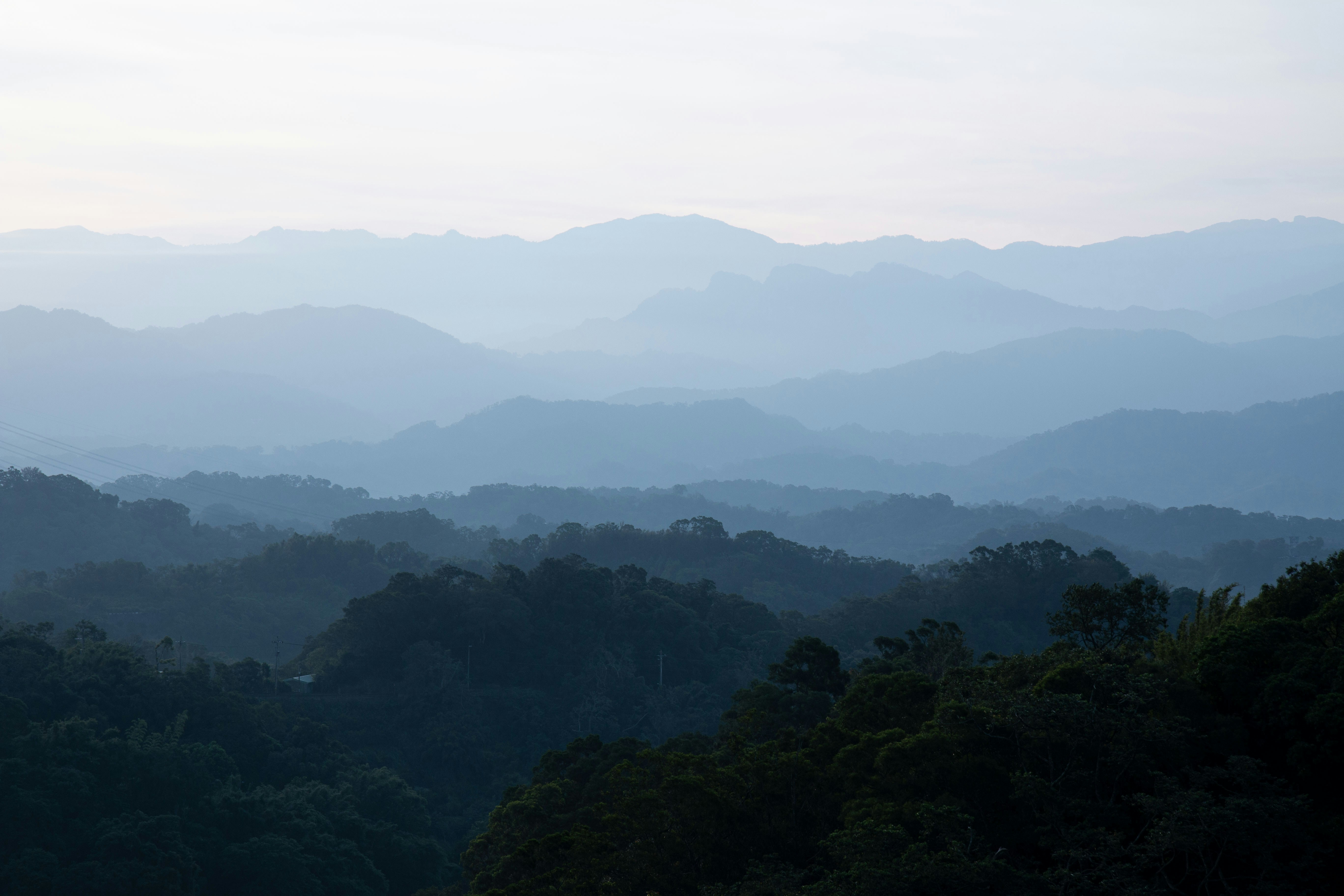 Photo by gingerlover