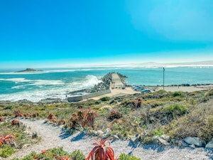 a beach with a body of water