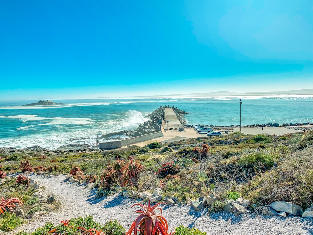 a beach with a body of water