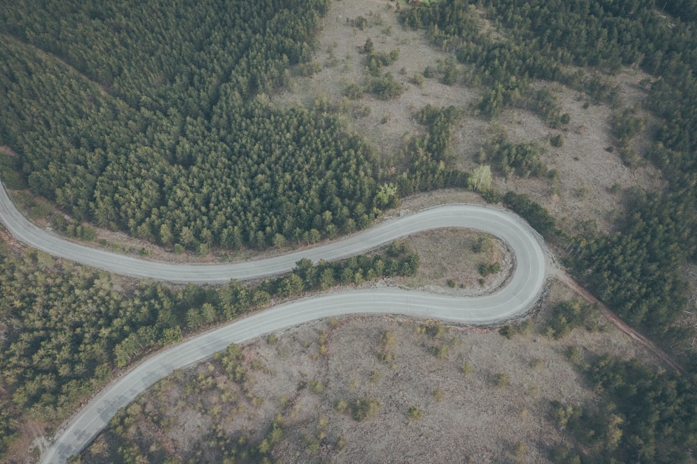 a road in a green landscape