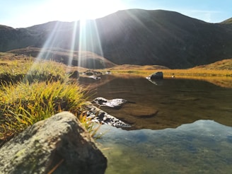 a body of water with a waterfall and grass on the side