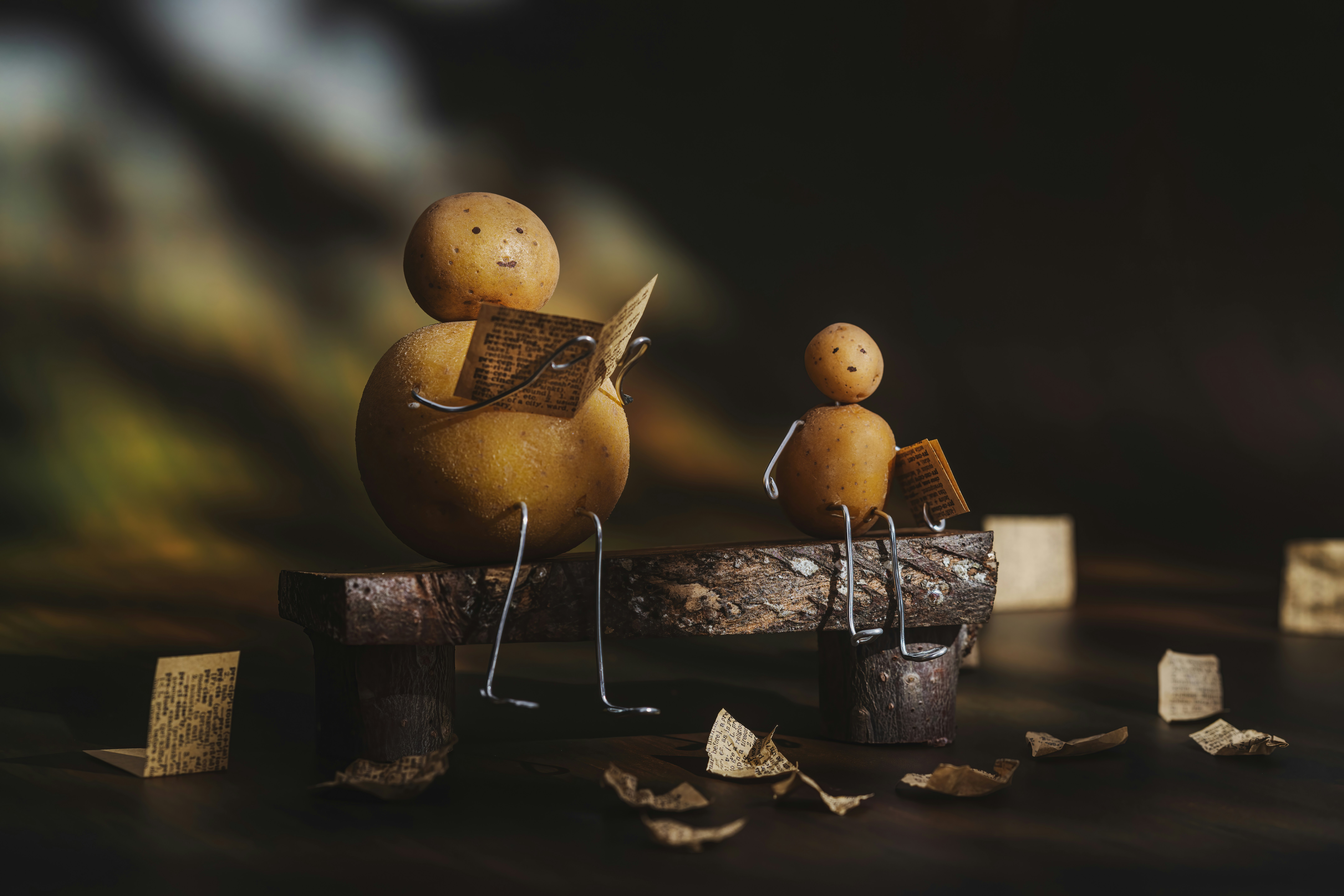 Photo by skylerewing