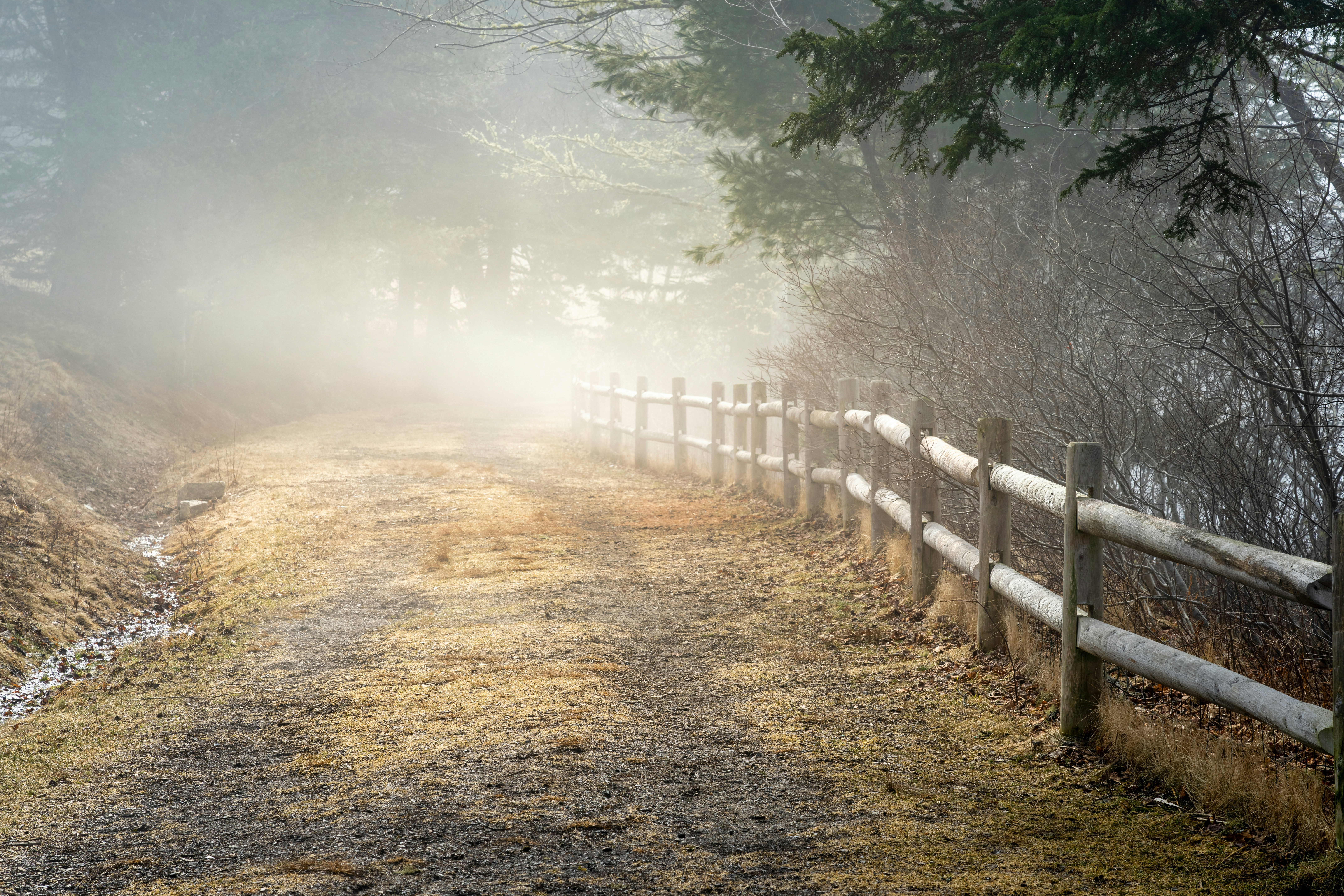 Photo by skylerewing