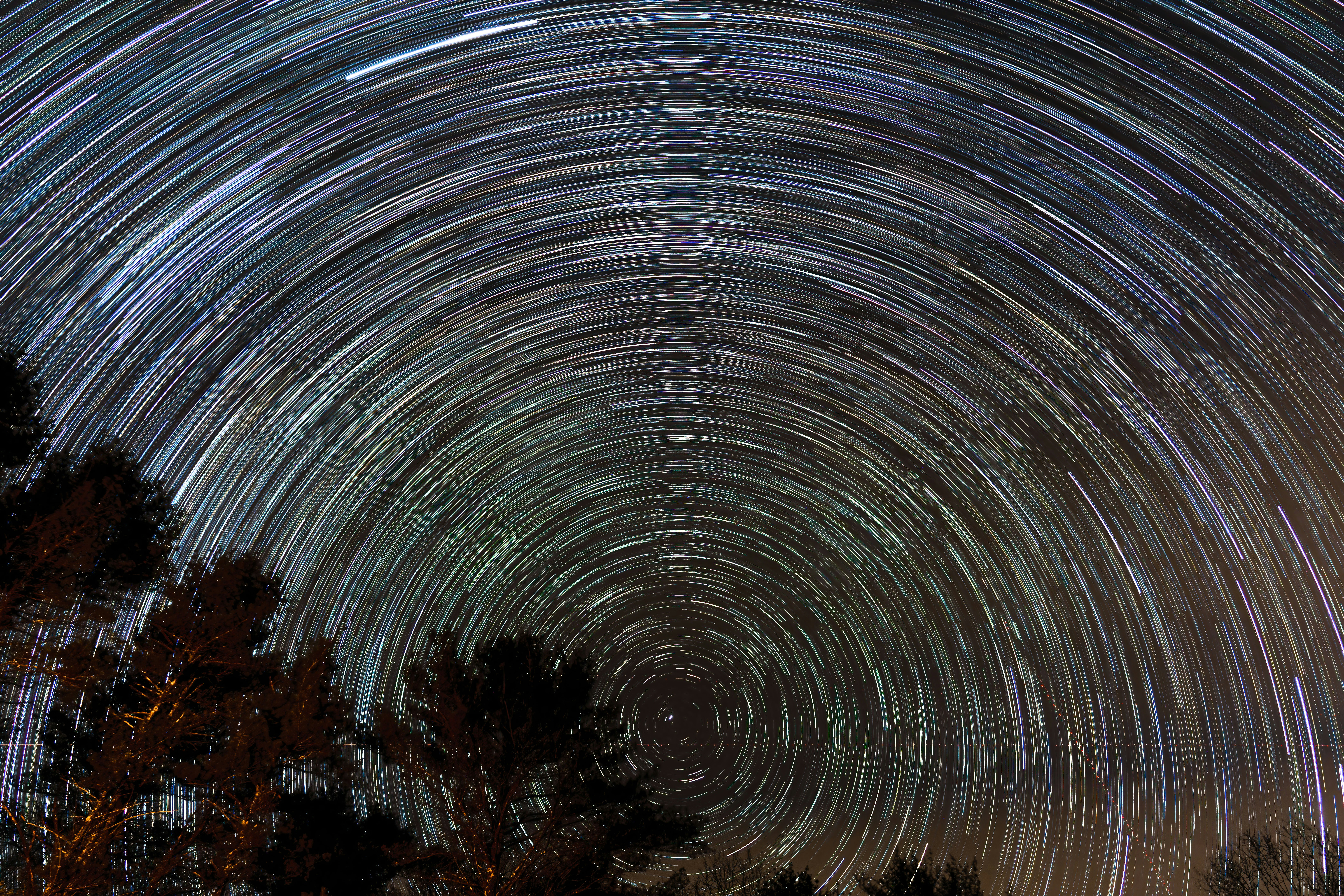 Photo by skylerewing