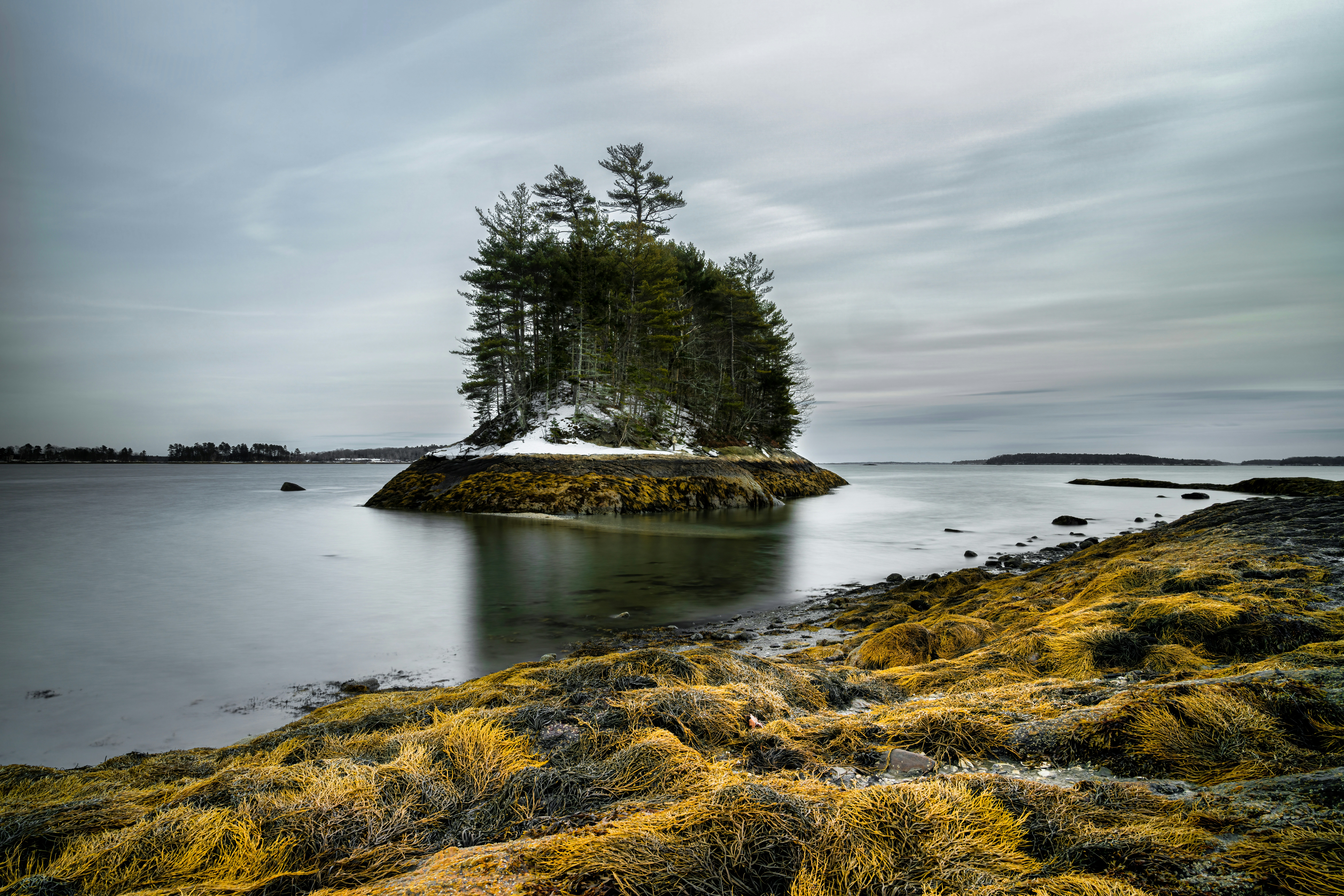 Photo by skylerewing