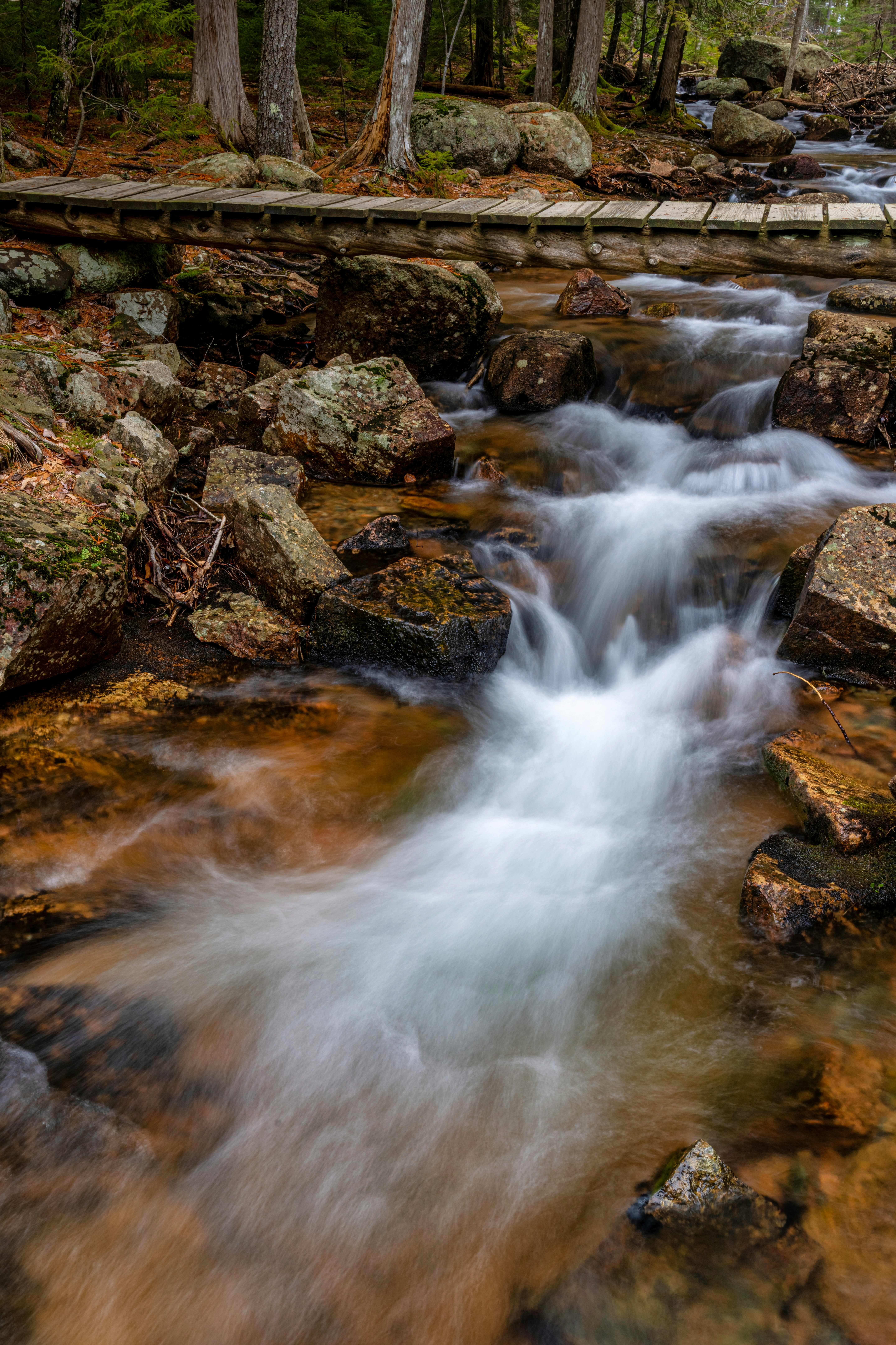 Photo by skylerewing